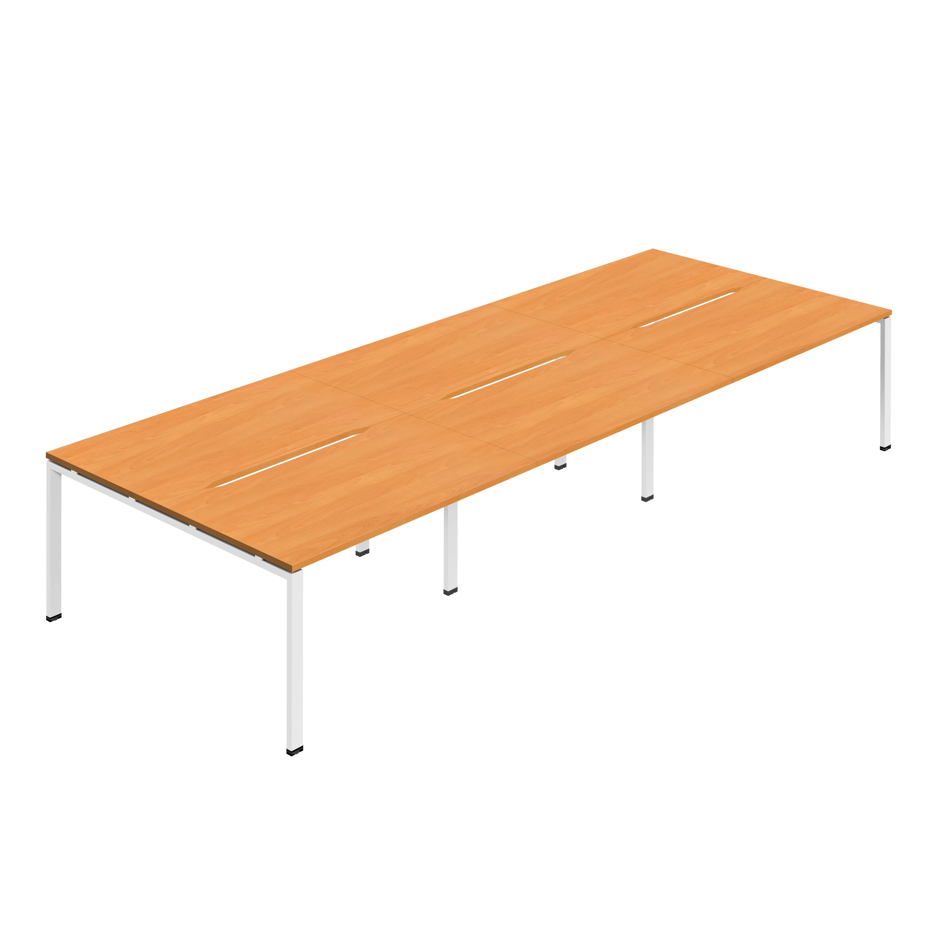 Beech
