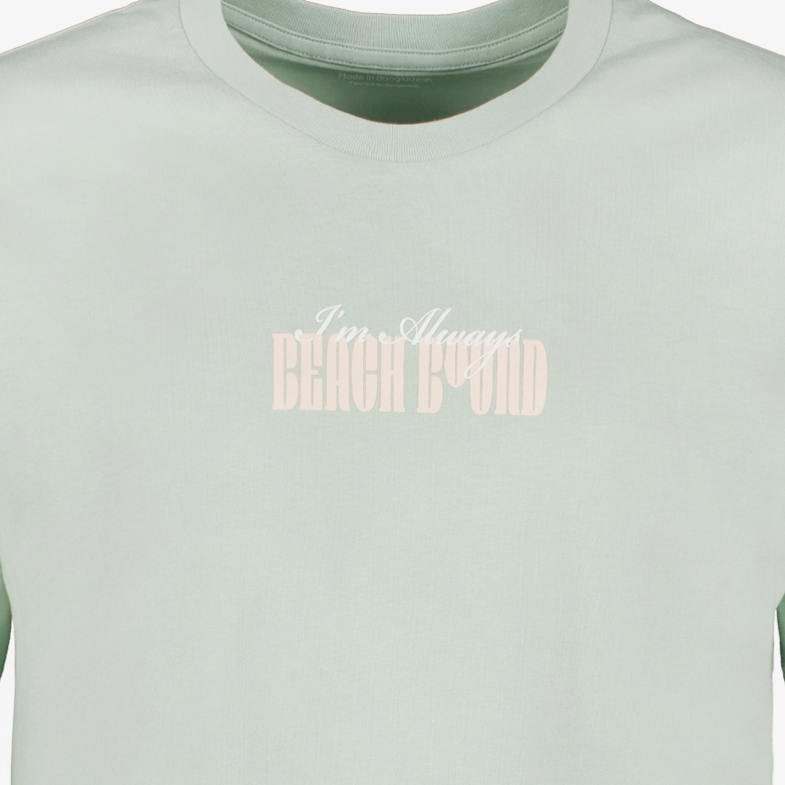 JJ REBEL heren T-shirt met backprint mintgroen t-shirts & tops – foto 2