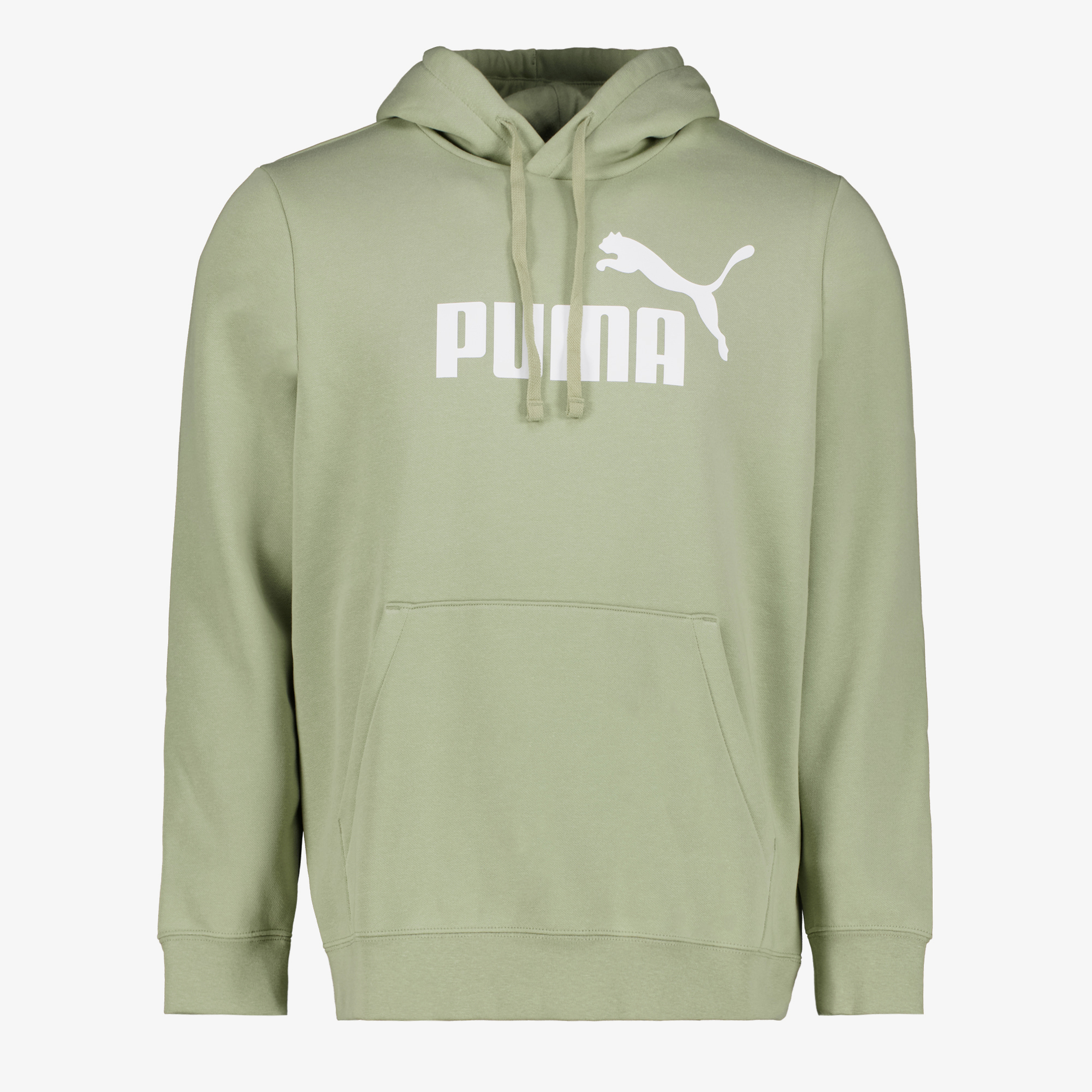 Puma Essentials 2 Color No. 1 Logo hoodie lichtgroen heren truien & vesten