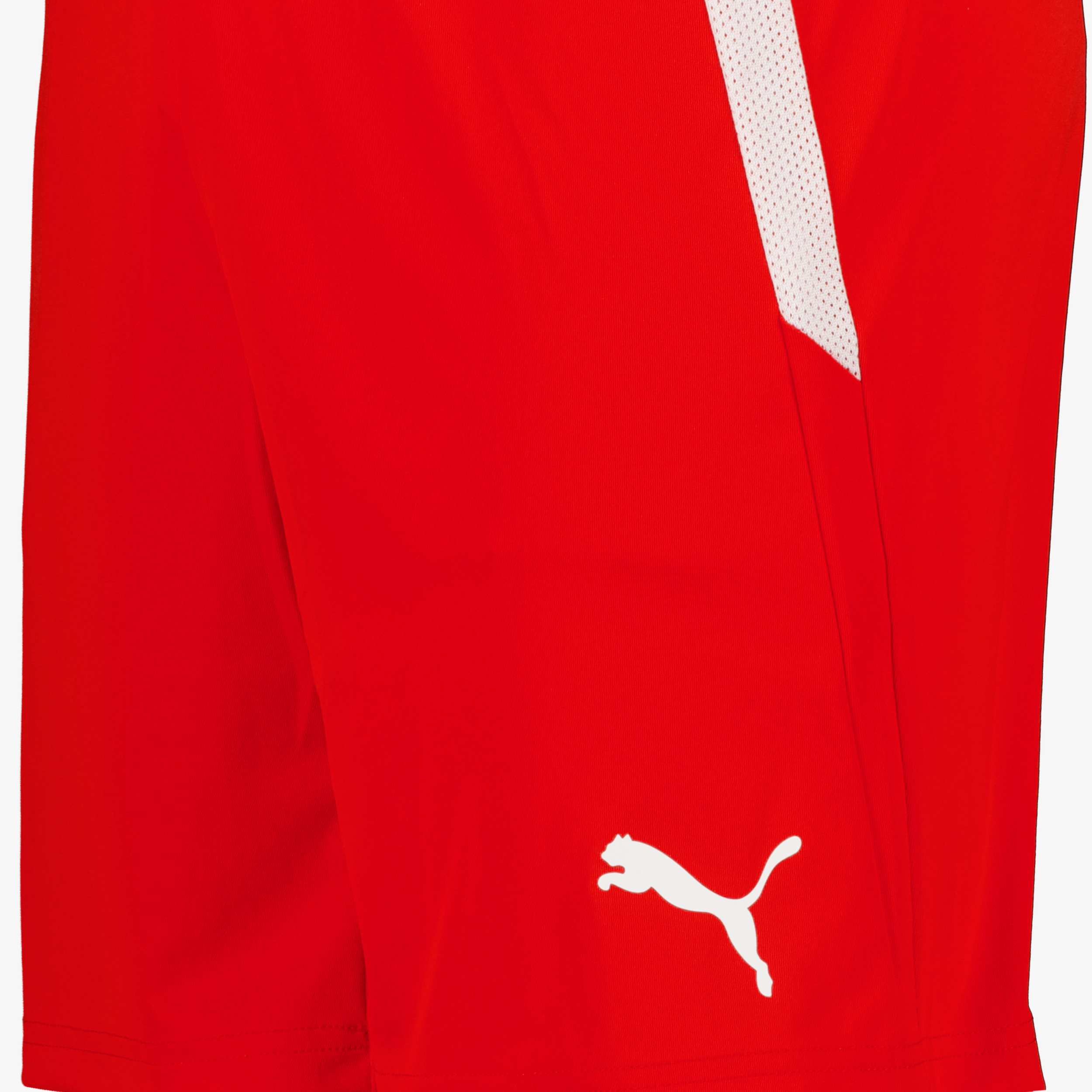 Puma Teamliga heren shorts rood broeken & shorts – foto 2
