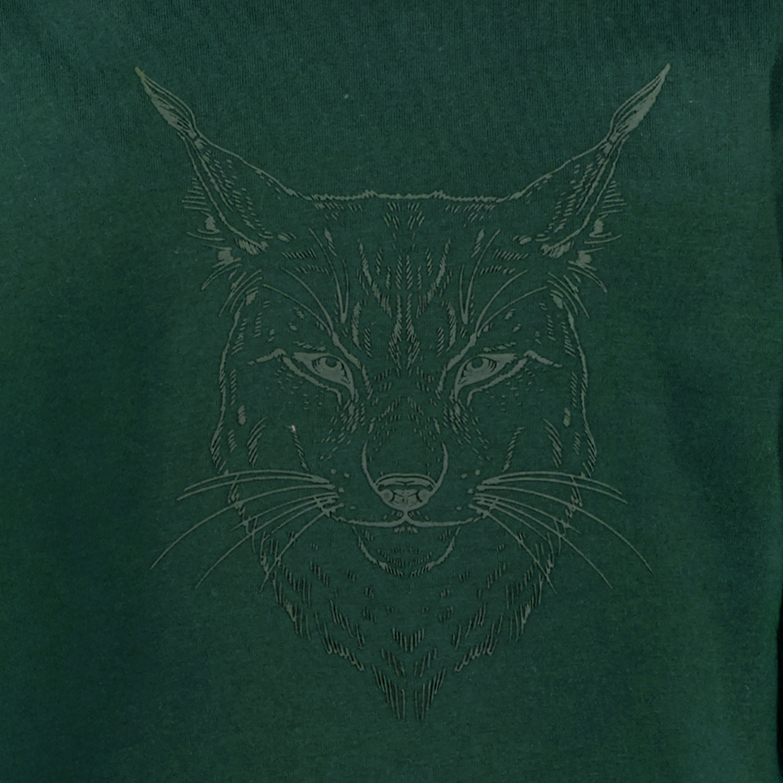 Unsigned jongens shirt met lange mouwen en lynx opdruk groen t-shirts & tops – foto 2