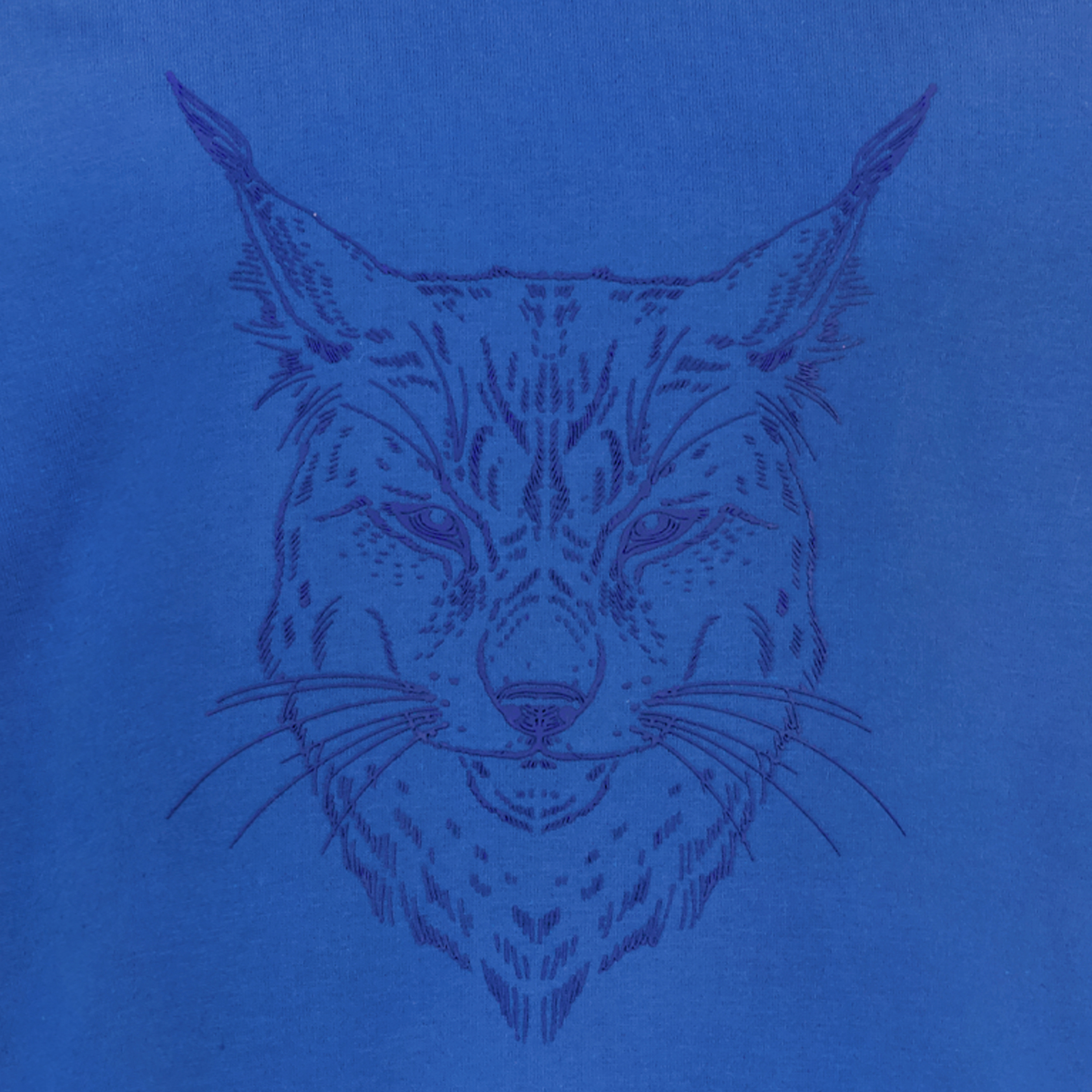 Unsigned jongens shirt met lange mouwen en lynx opdruk blauw t-shirts & tops – foto 2