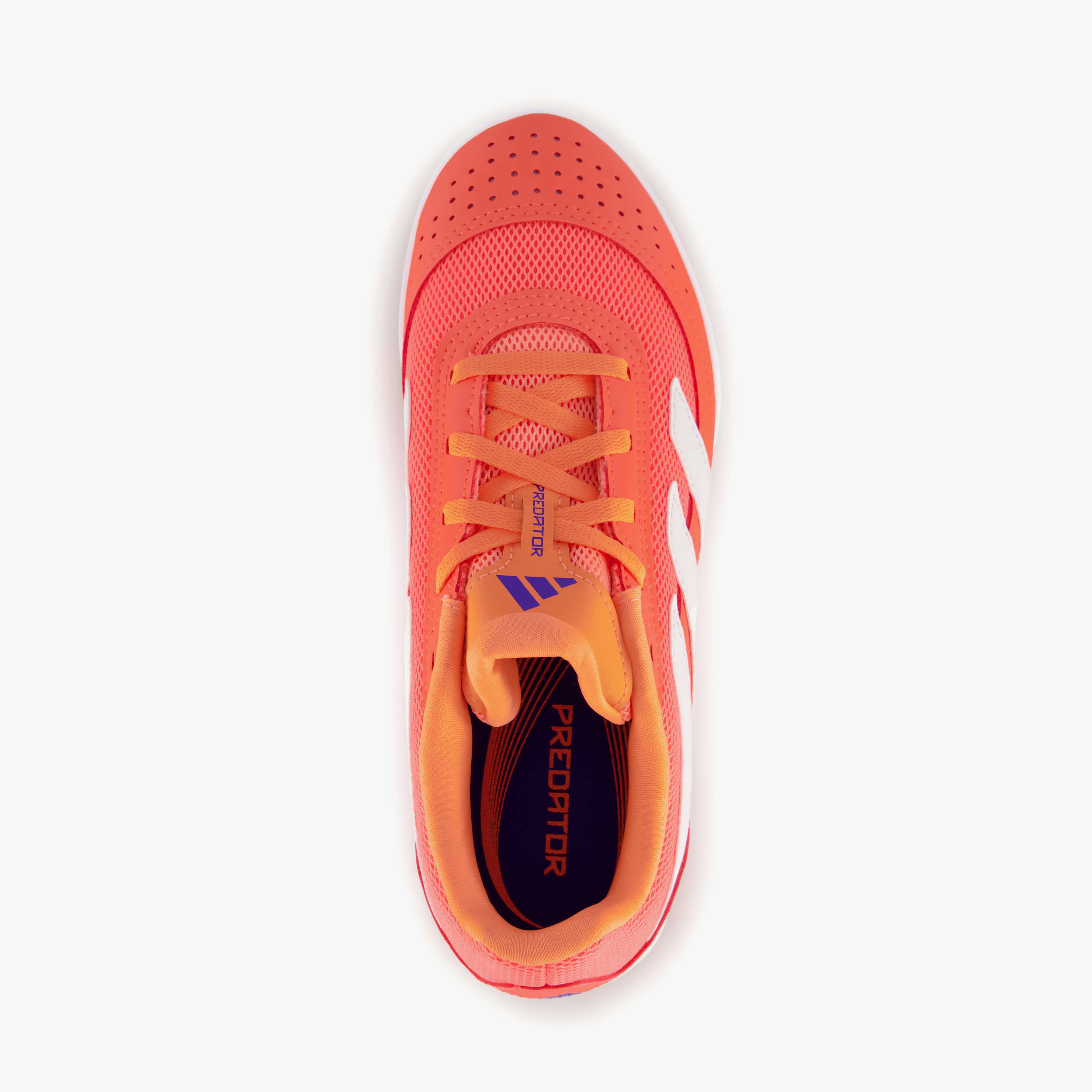 Adidas Predator Club IN Sala kinder zaalvoetbalschoenen oranje meisjes zaalschoenen – foto 4
