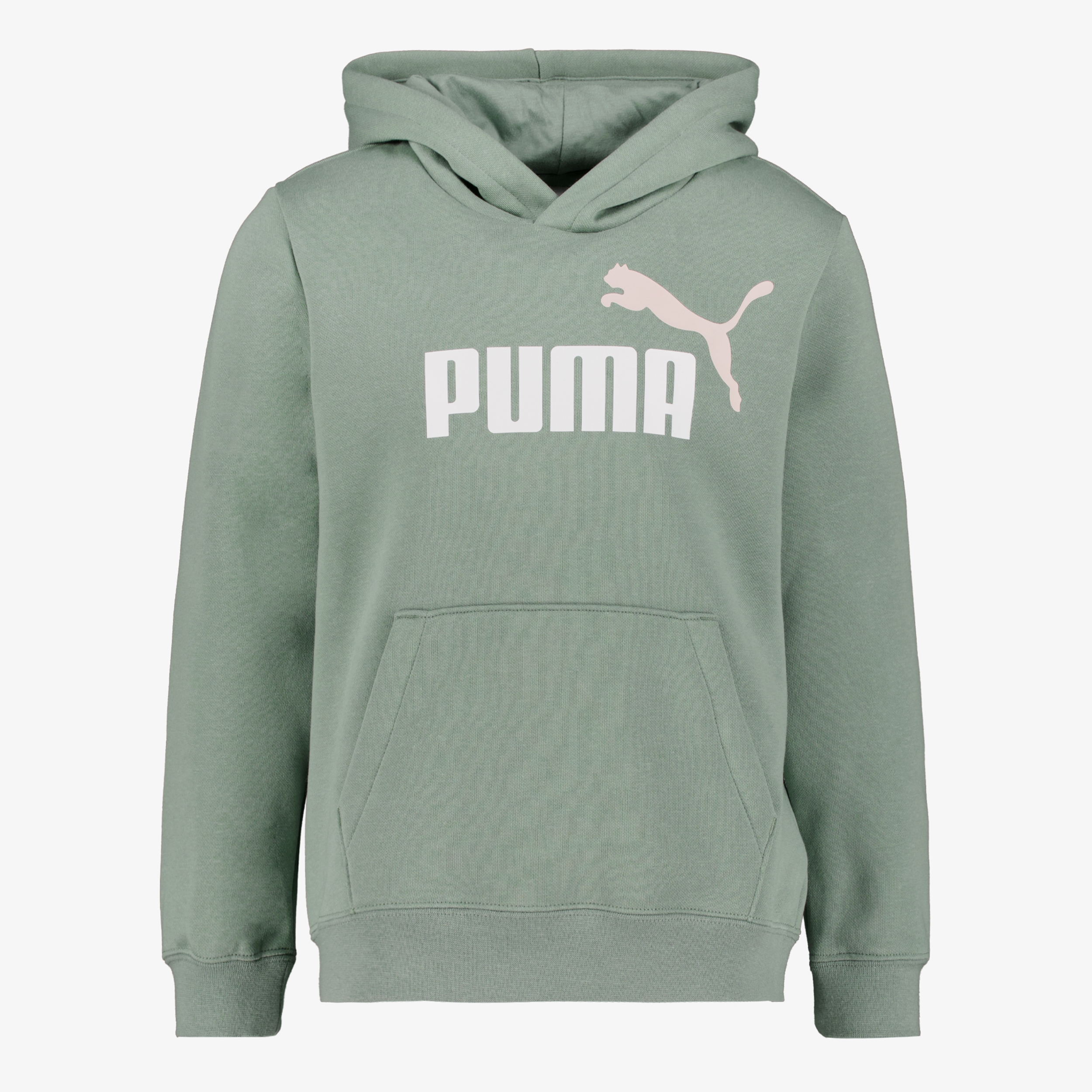 Puma ESS 2 Col Big Logo FL kinder hoodie groen