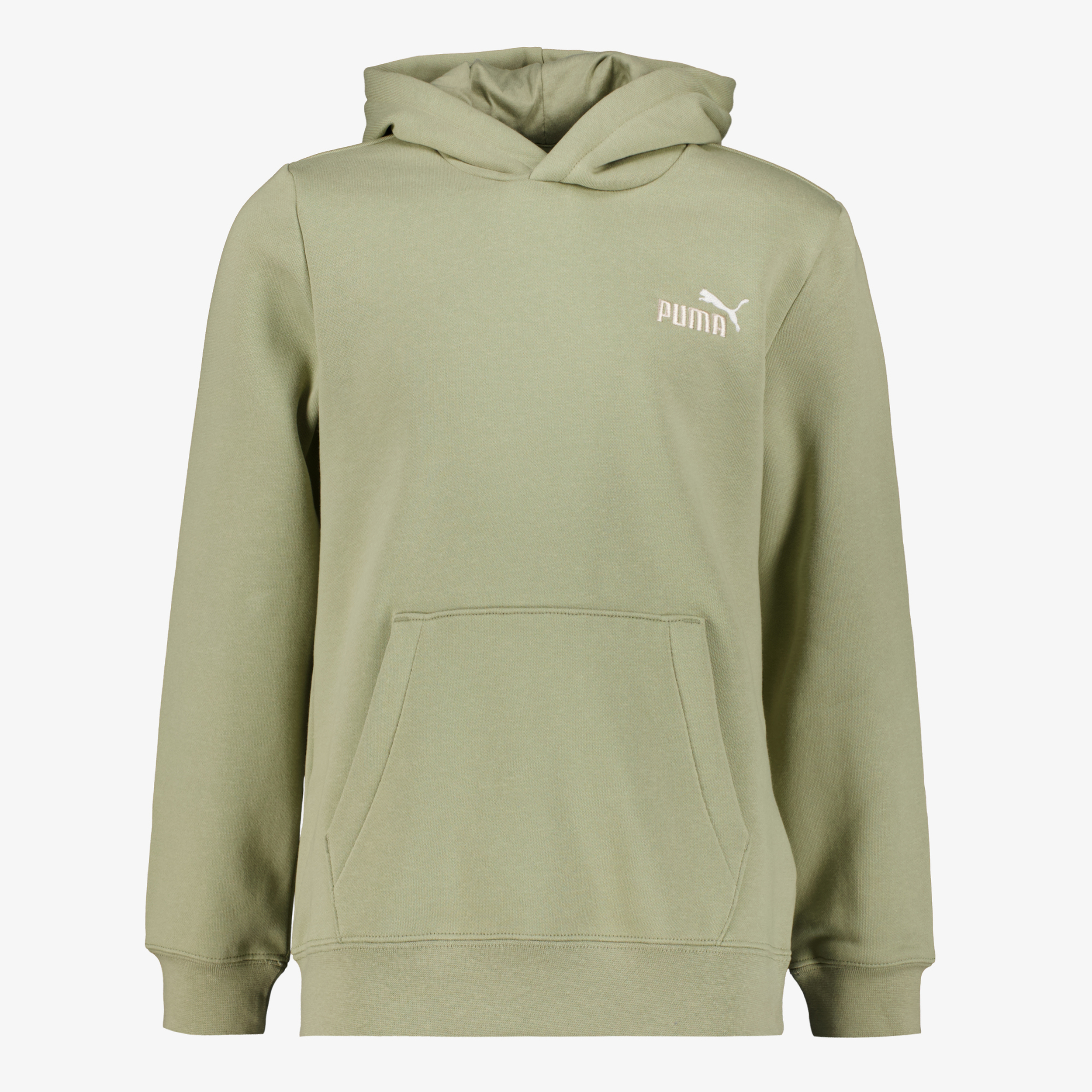 Puma ESS 2 Color Small NO. 1 Logo kinder hoodie groen