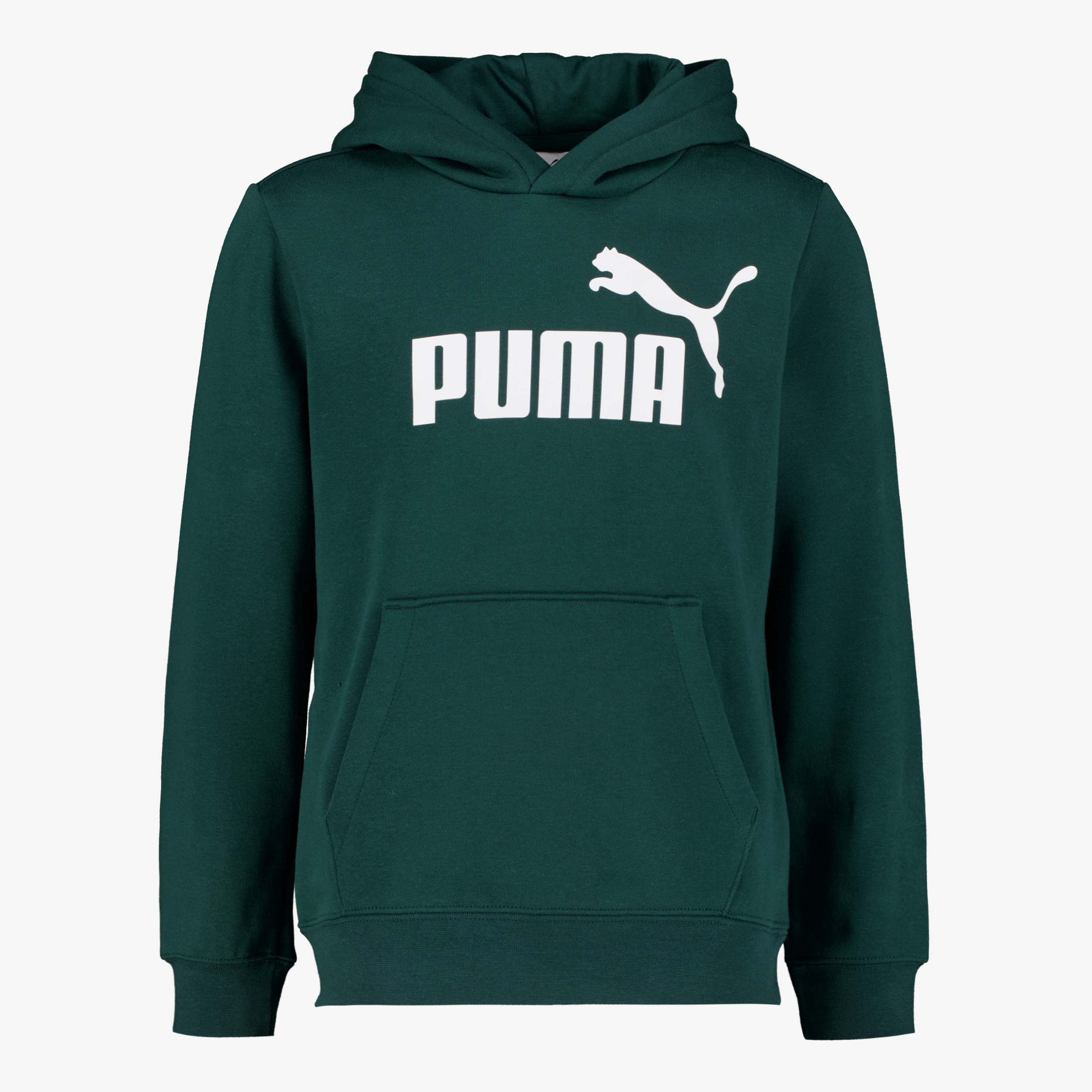 Puma Essentials No. 1 Logo kinder hoodie groen