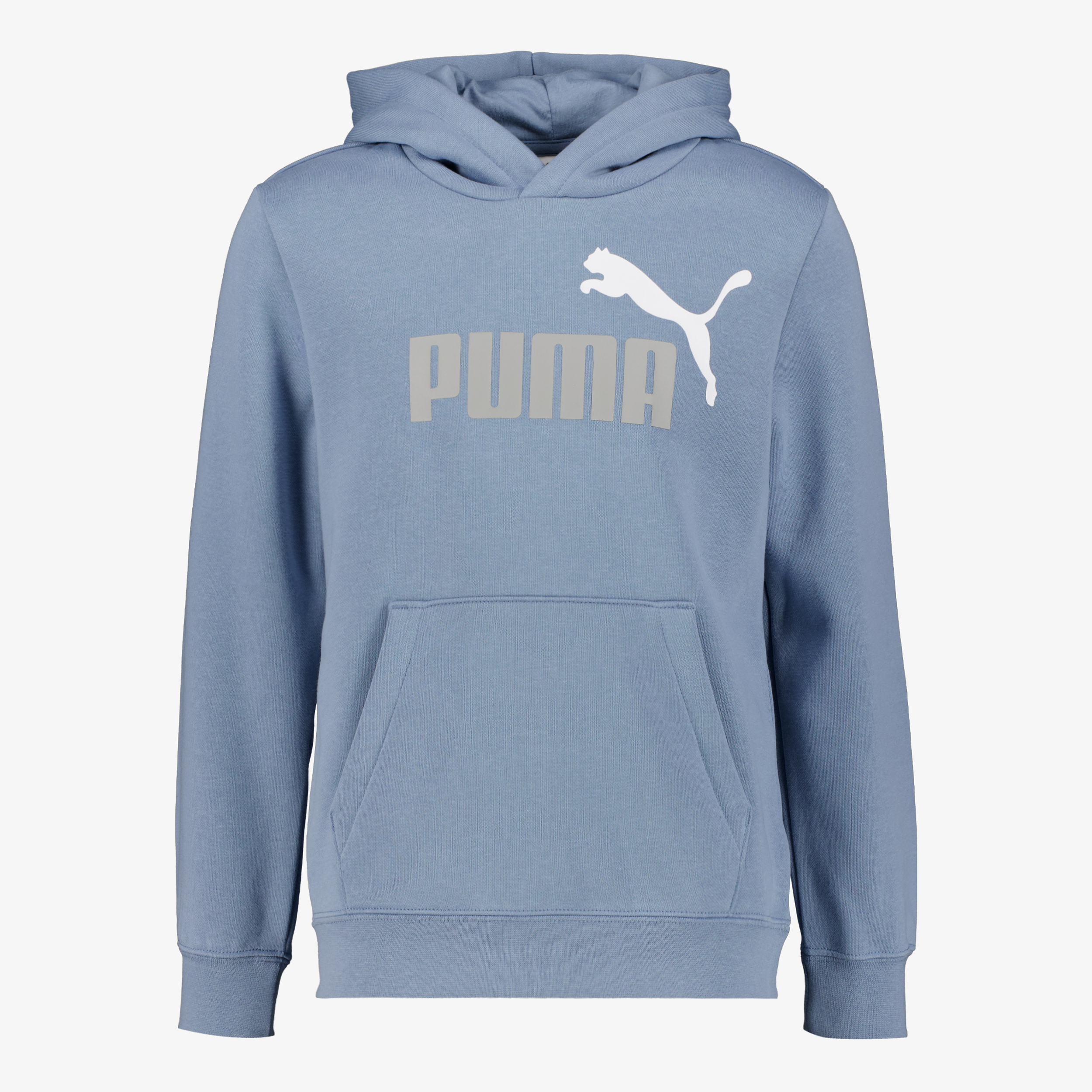 Puma Essentials 2 Color No. 1 Logo kinder hoodie blauw