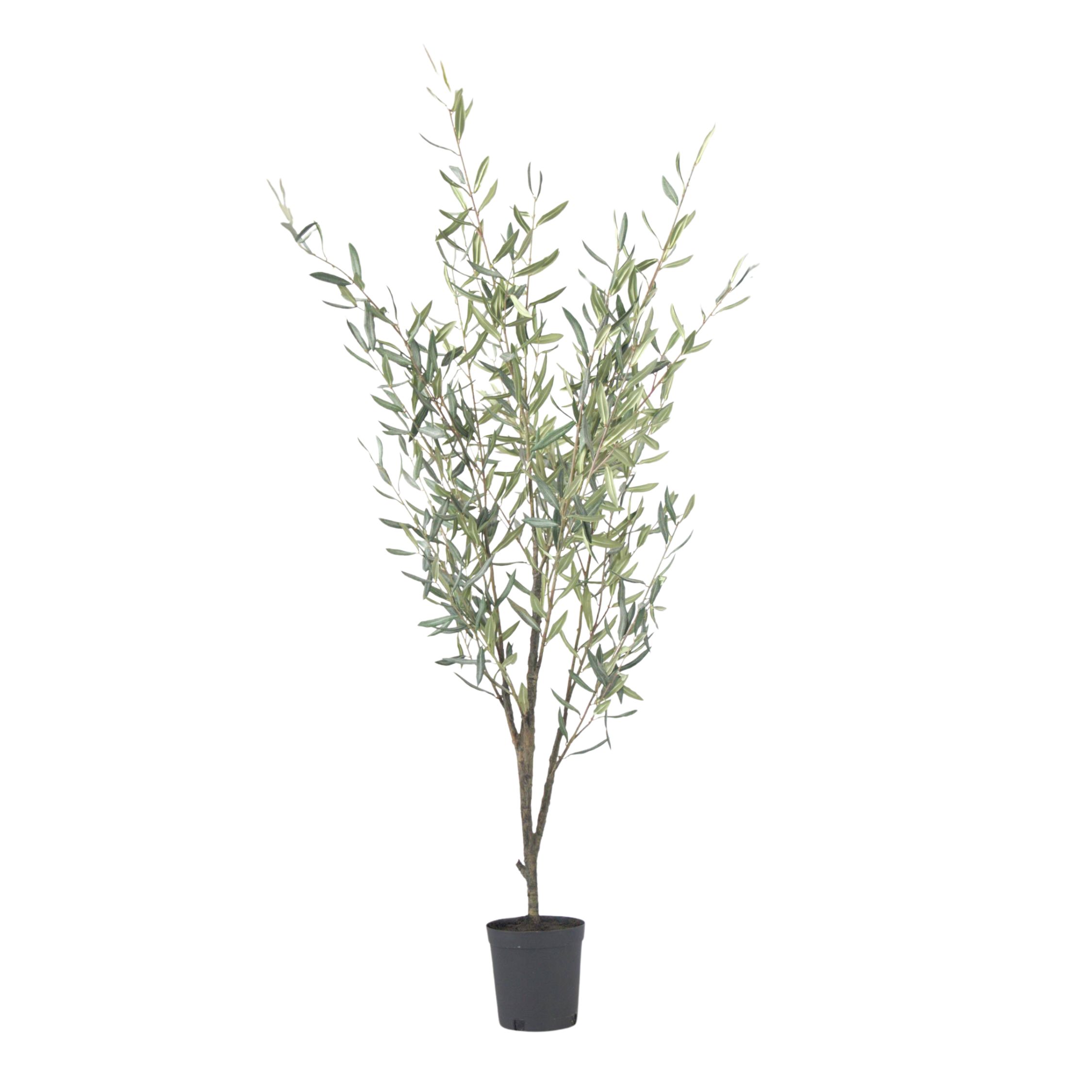 Kunstplant olijfboom - Hoogte 150cm afbeelding