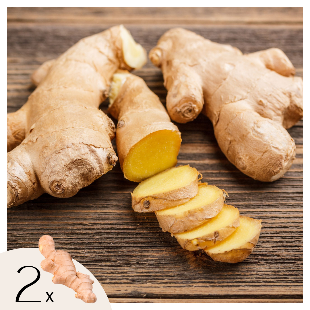 Gember - Set van 2 - Zingiber officinale - Wortelstokken afbeelding