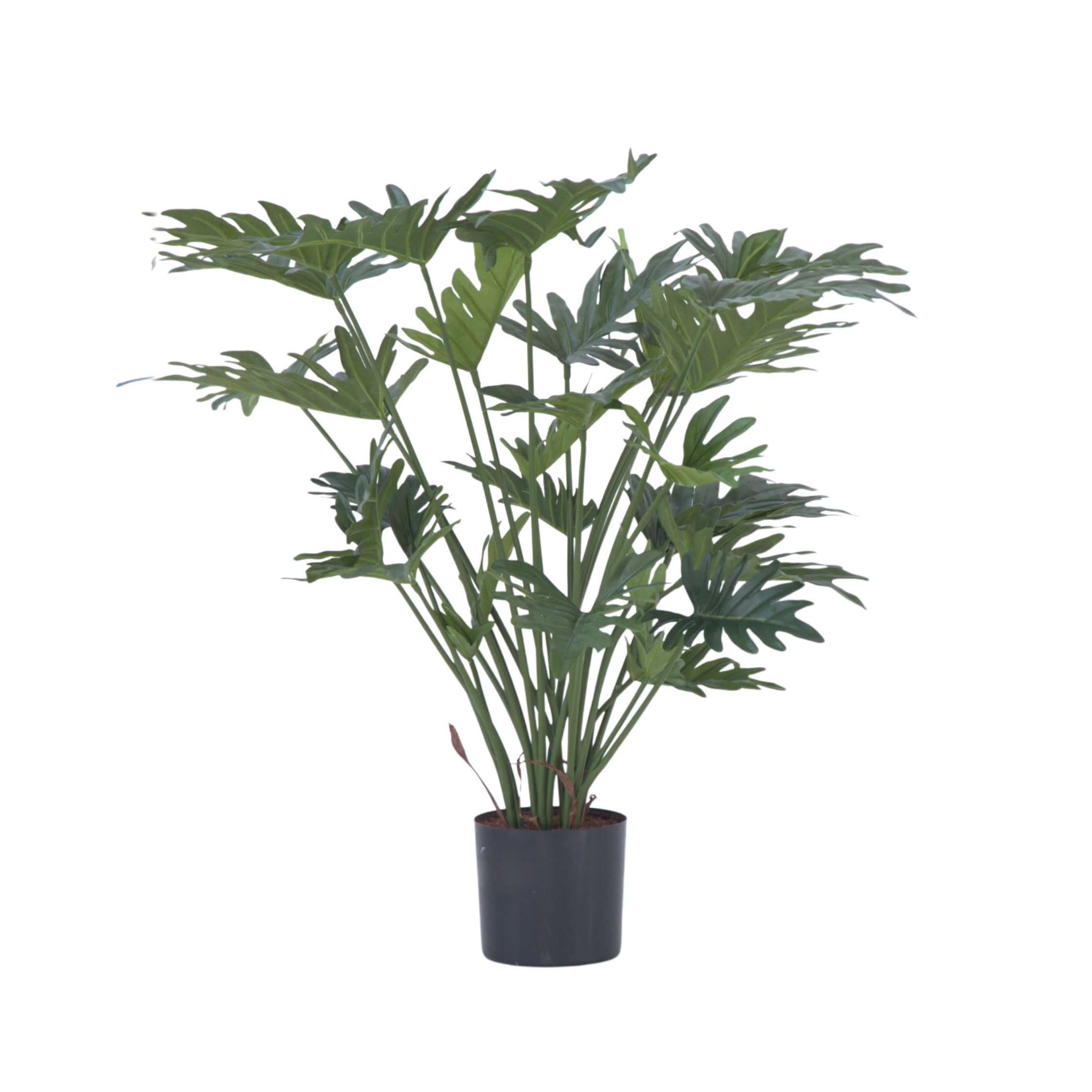 Kunstplant philodendron'Selloum'- Hoogte 65cm afbeelding