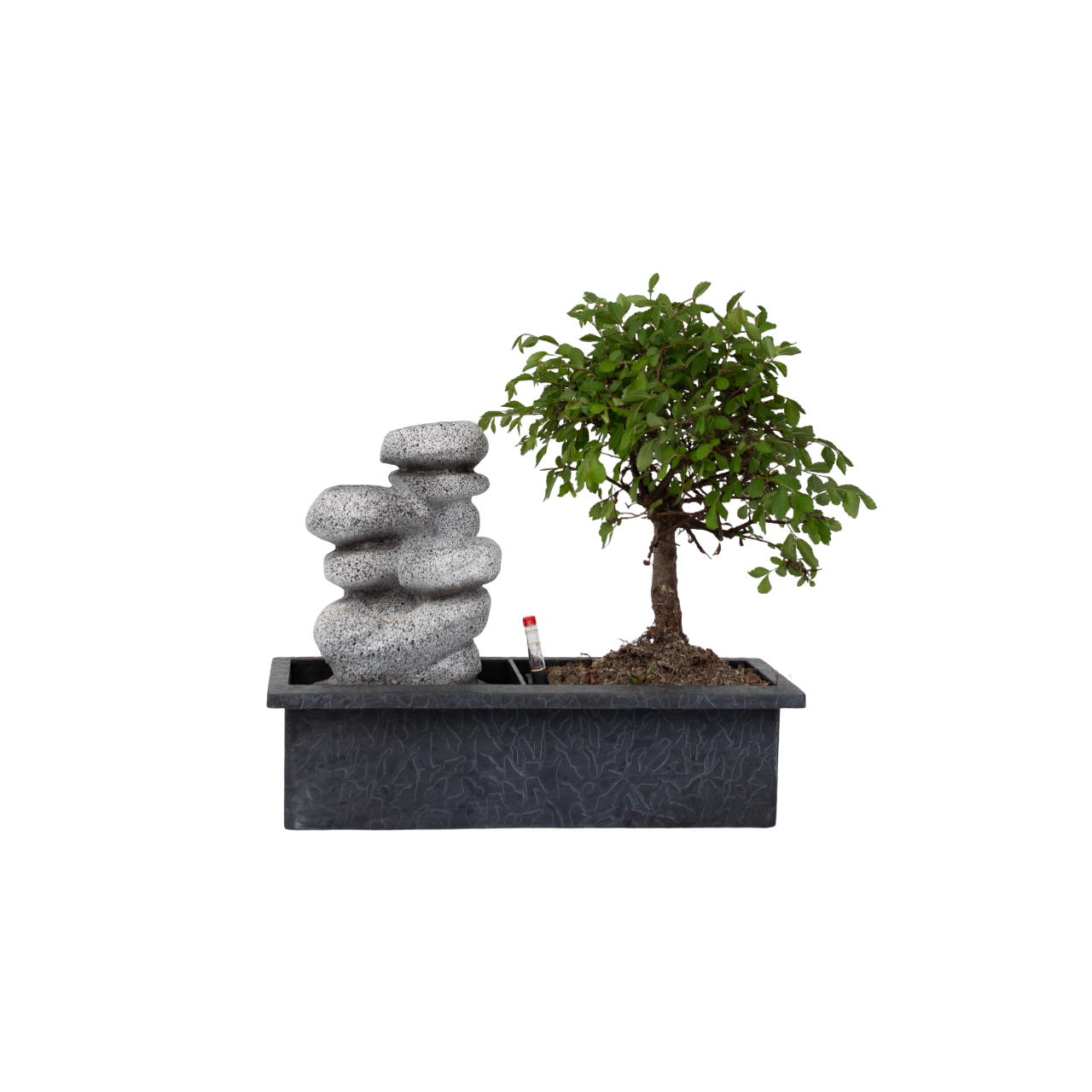 Bonsai met waterval - Bonsai - Hoogte 25-35cm -⌀29cm afbeelding