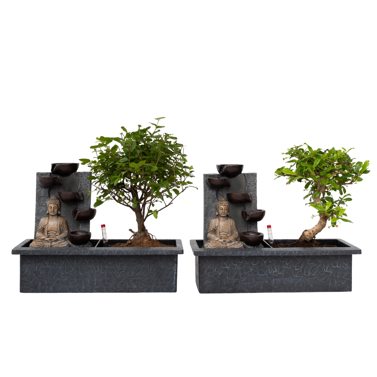 Bonsai met Buddha - Set van 2 - Bonsai - Hoogte 25-35cm -⌀29cm afbeelding