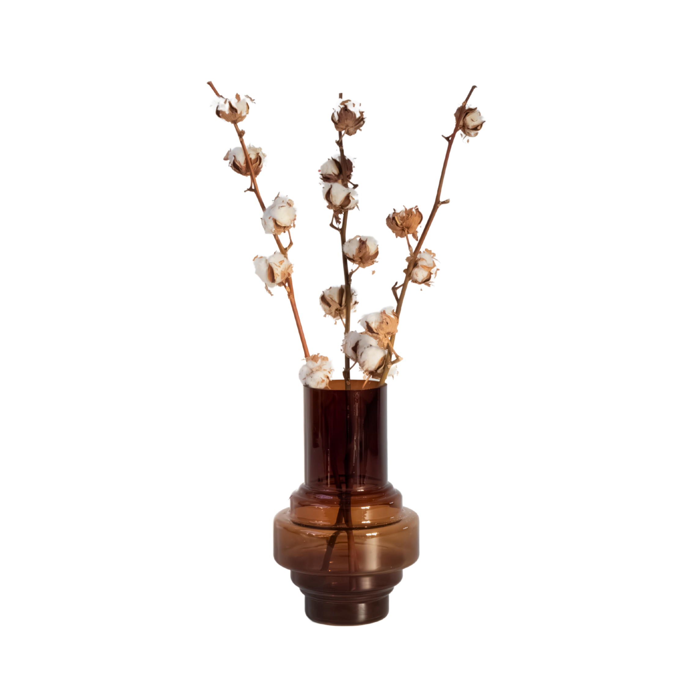 Droogbloemen - Set van 3 - Boeket'Cotton branch'- Droogbloemen afbeelding