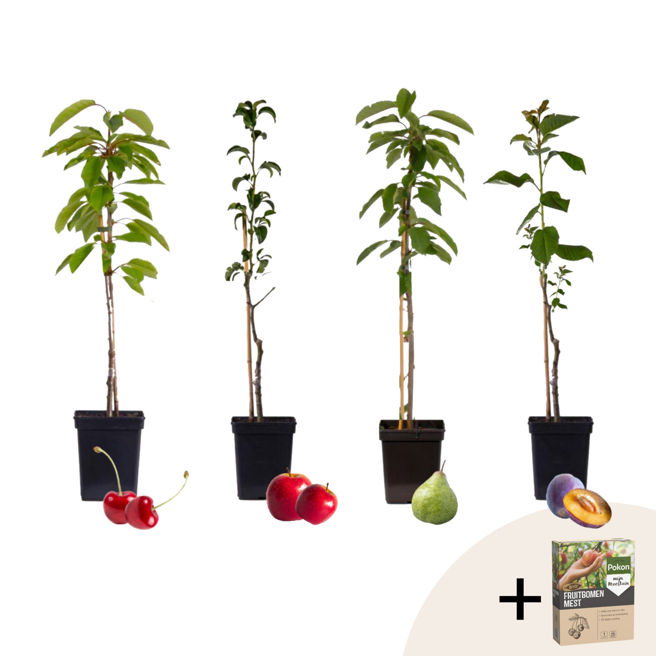 Mix fruitzuilen met plantenvoeding - Set van 4 - Hoogte 60-70cm -⌀9cm afbeelding