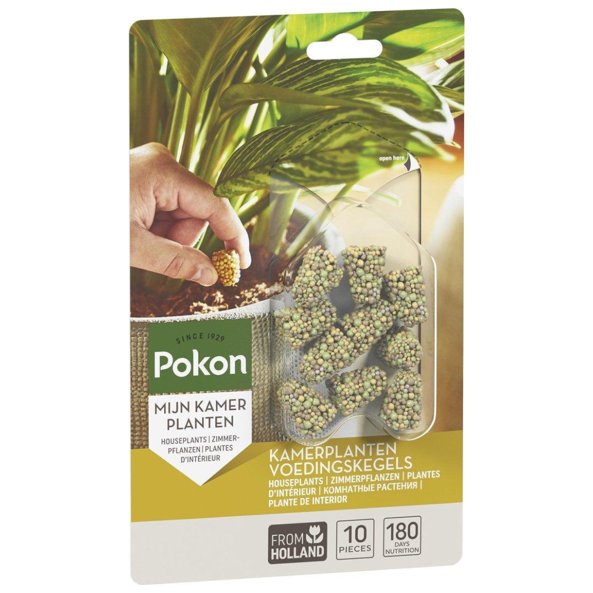 Pokon voedingskegels kamerplanten - 10 stuks afbeelding