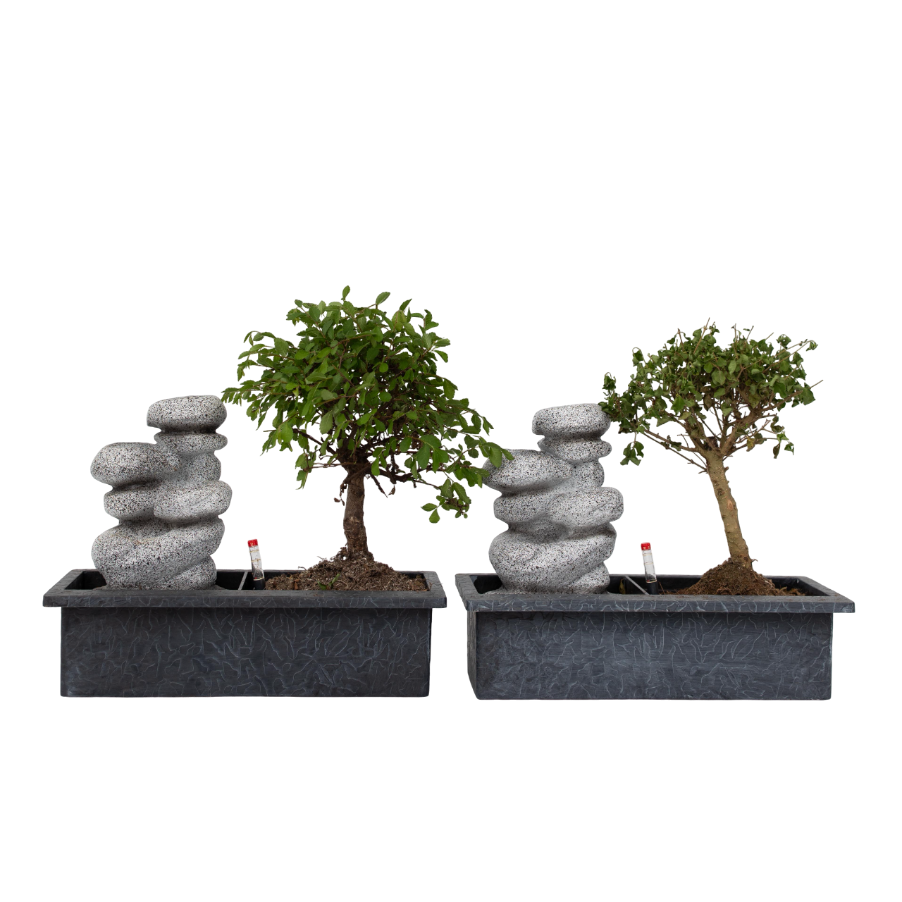 Bonsai met waterval - Set van 2 - Bonsai - Hoogte 25-35cm -⌀29cm afbeelding
