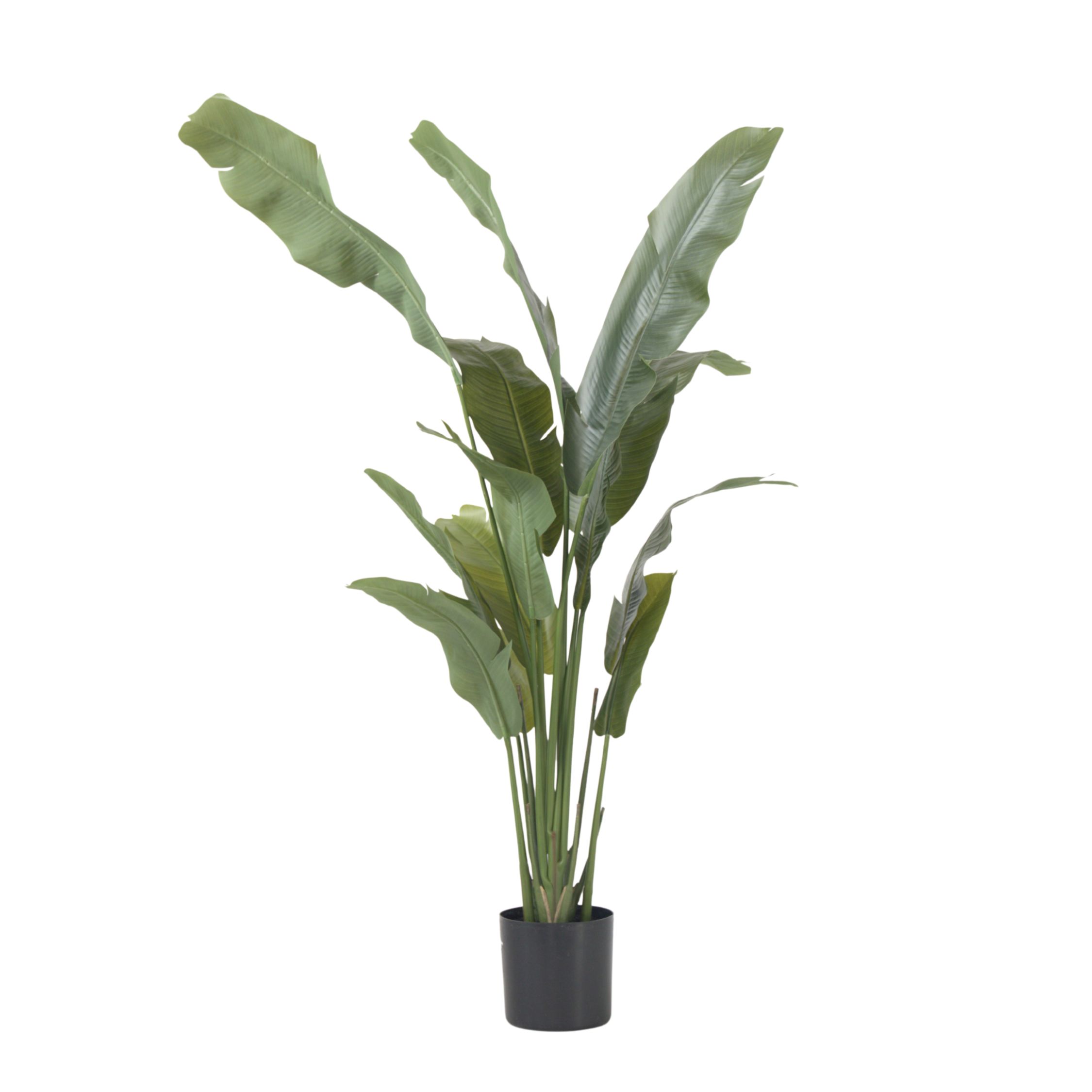 Kunstplant strelitzia - Hoogte 160cm afbeelding