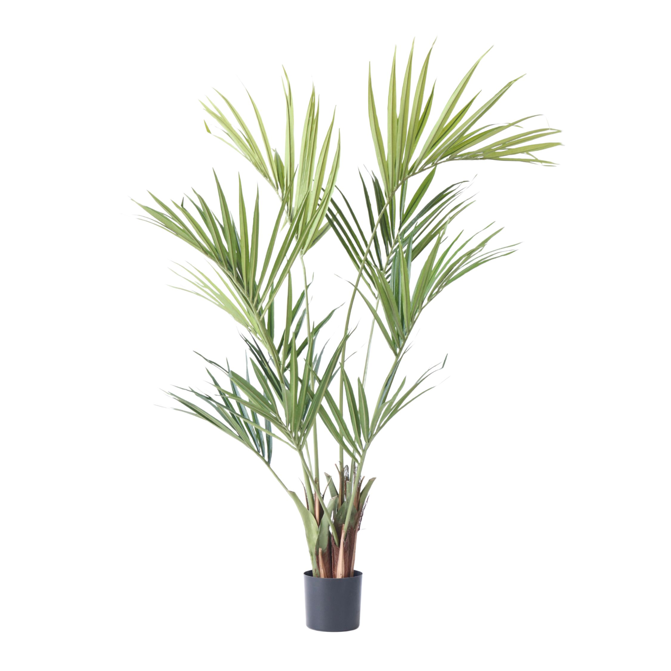 Kunstplant kentia - Hoogte 150cm afbeelding