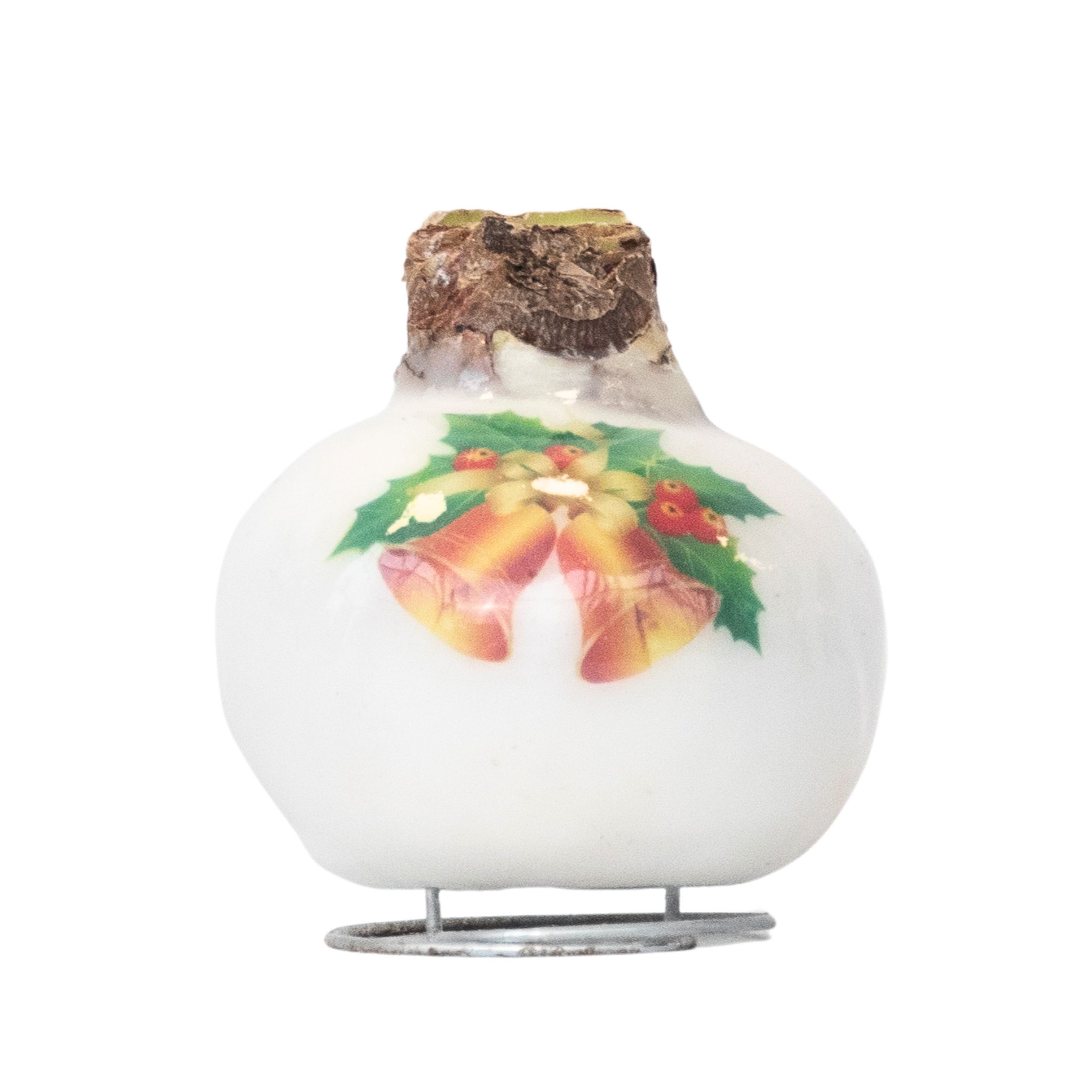 Amarylis - Hippeastrum 'Porcelánové voskové zvonky'