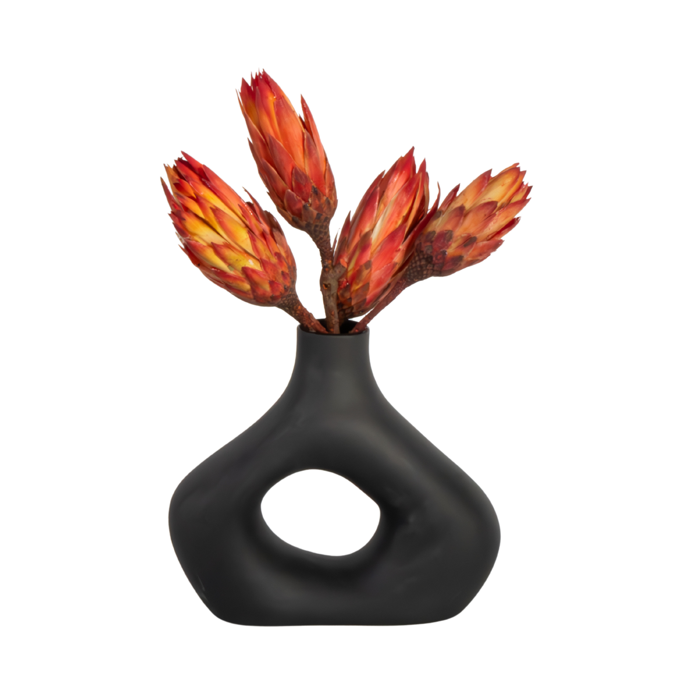Droogbloemen - Set van 5 - Boeket'Protea Pendula Red'- Droogbloemen afbeelding