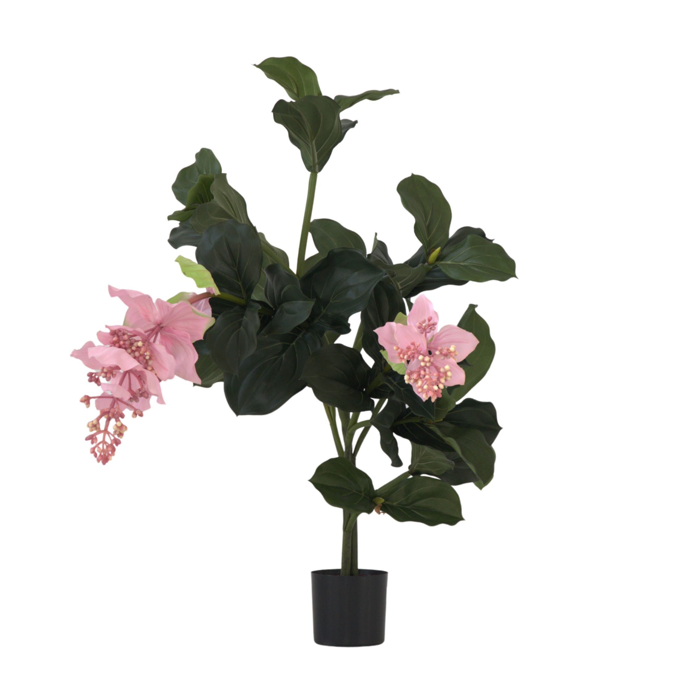 Kunstplant Medinilla magnifica - Hoogte 85cm afbeelding