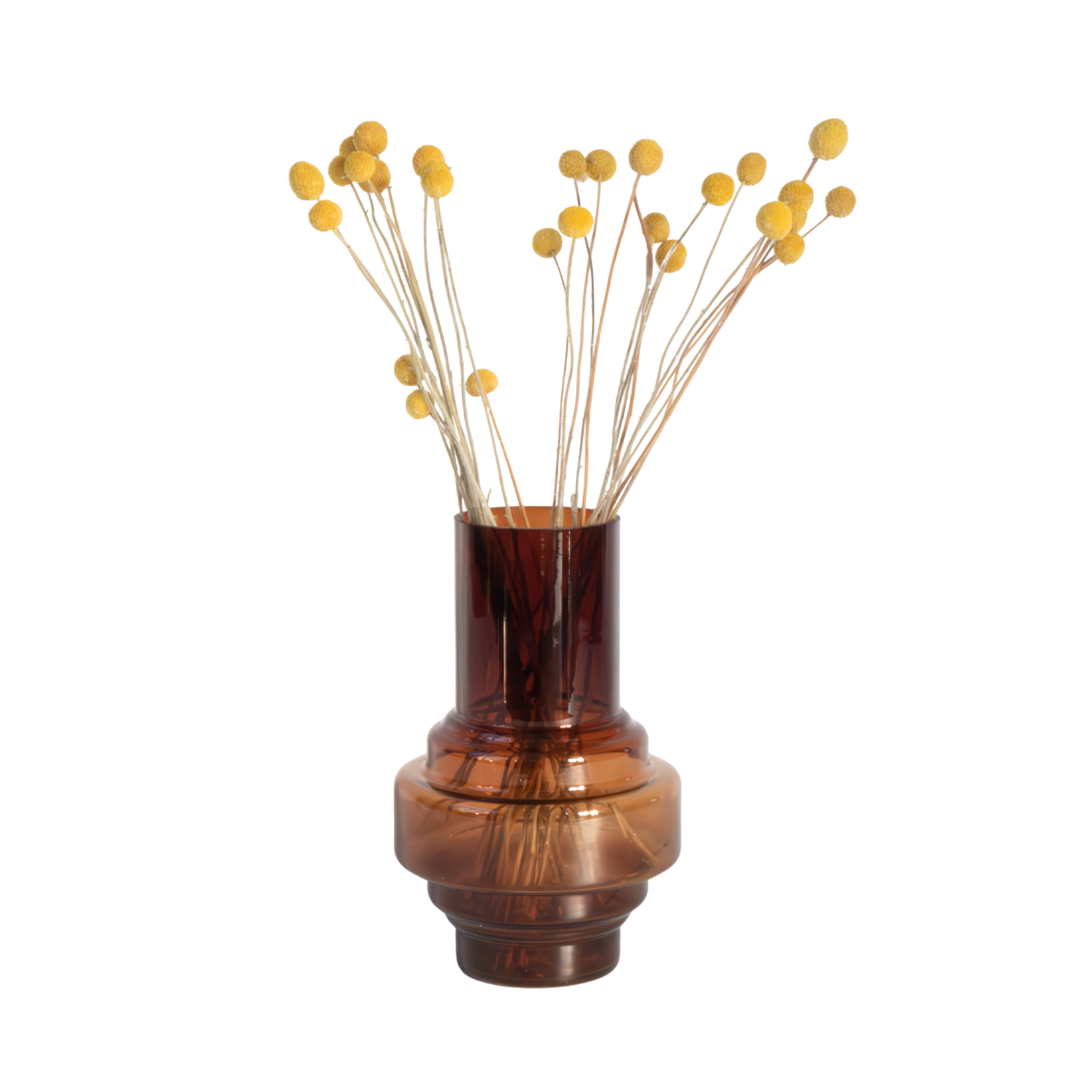 Droogbloemen - Boeket'Craspedia natural yellow' afbeelding