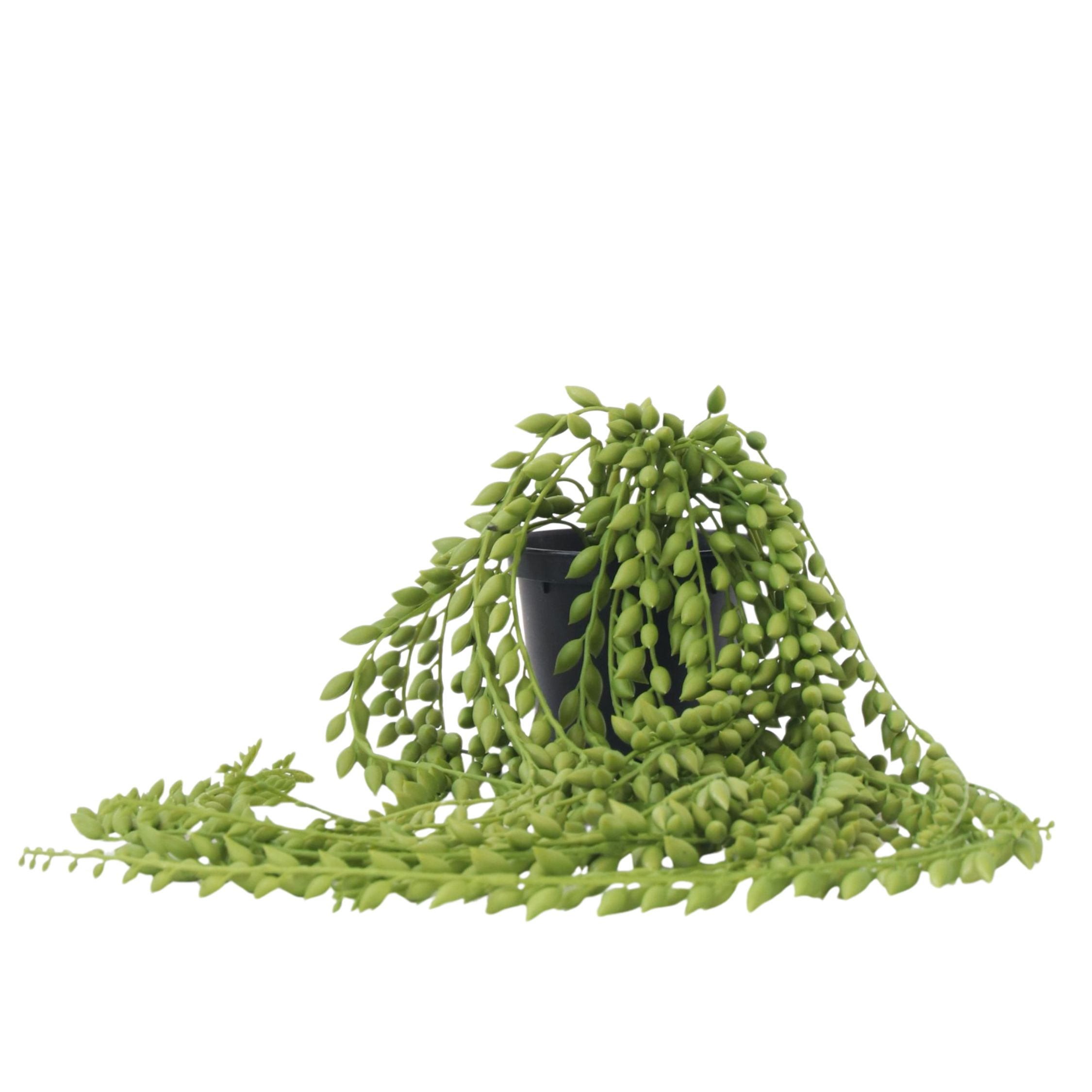Kunstplant senecio - Hoogte 90cm afbeelding