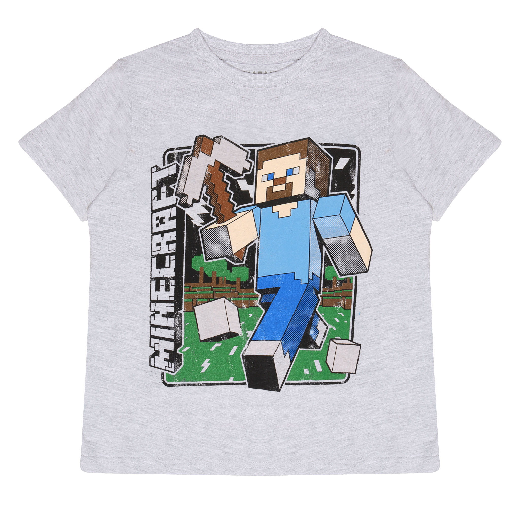 Official Minecraft Distressed Steve 