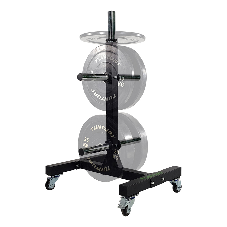 Bumper plate storage wheels top