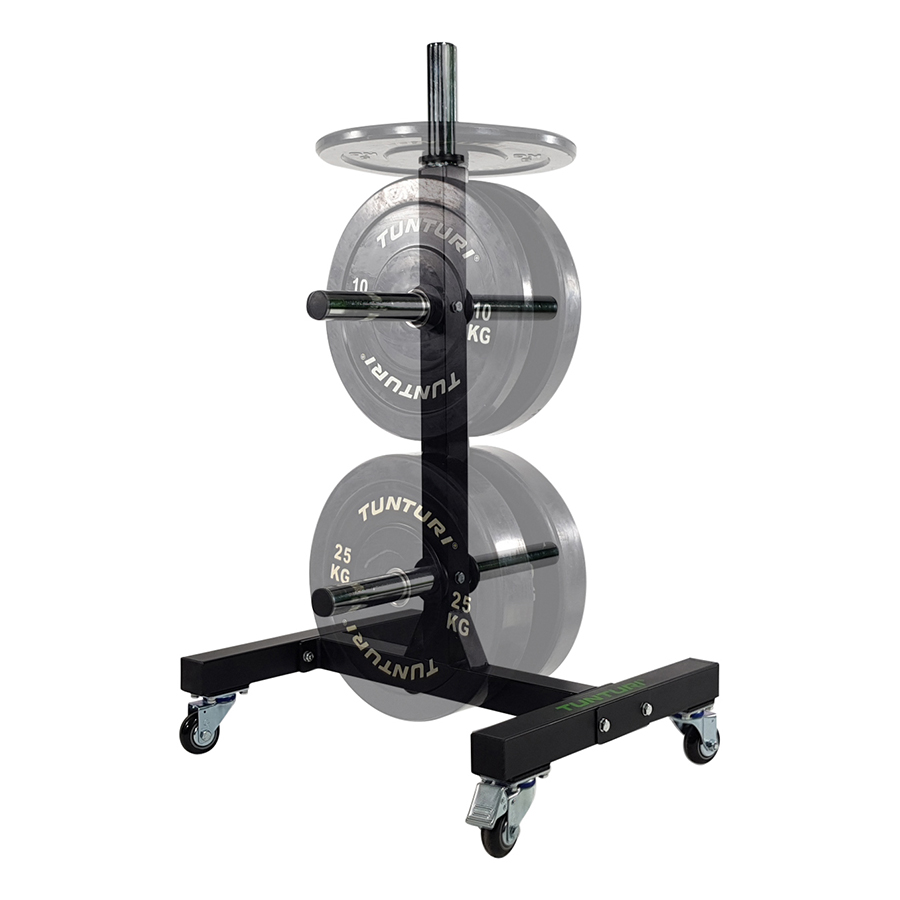 Weight plate 2025 rack on wheels