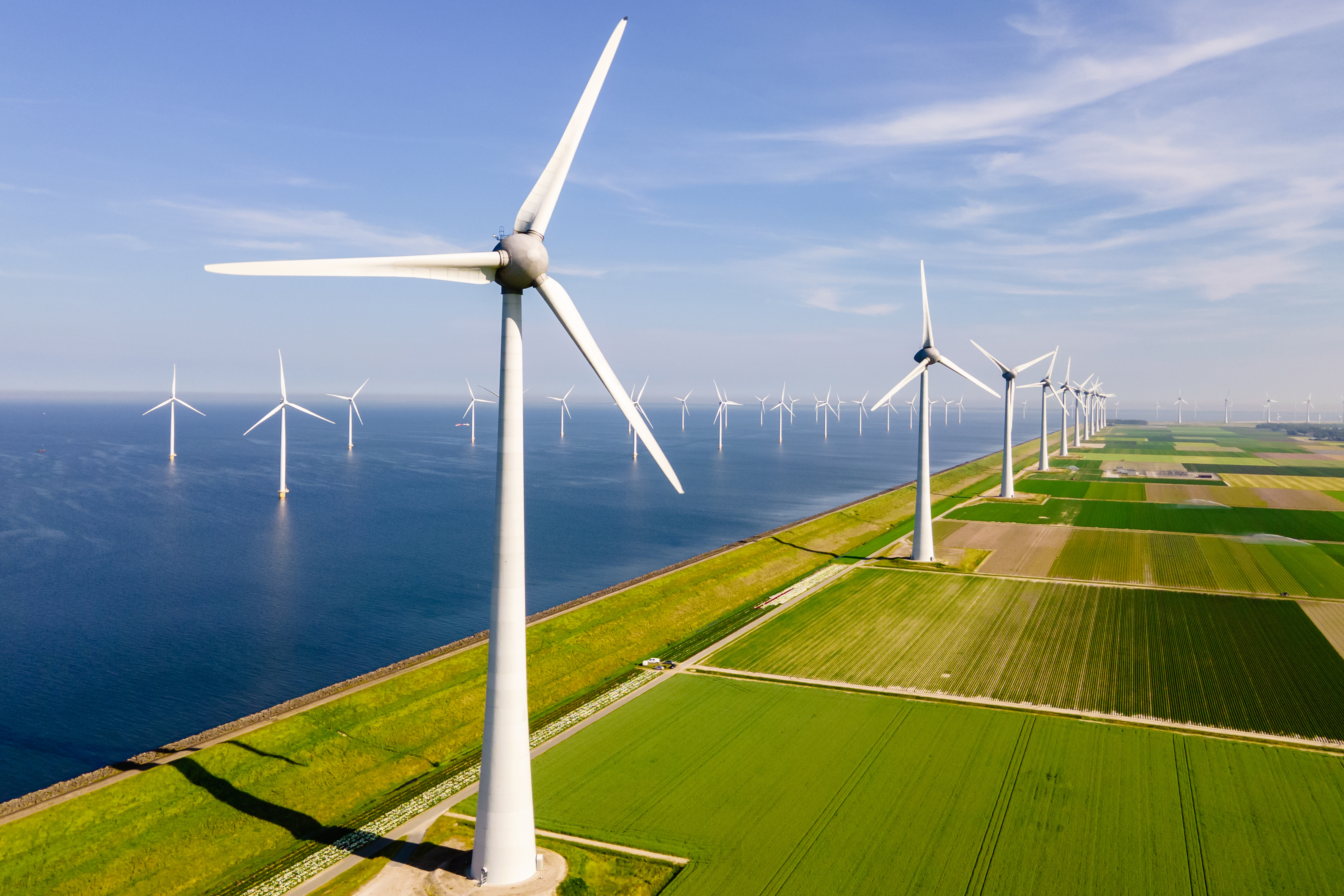 
ENVIRONMENT
<h2>ROWING TO A CIRCULAR FUTURE</h2>

