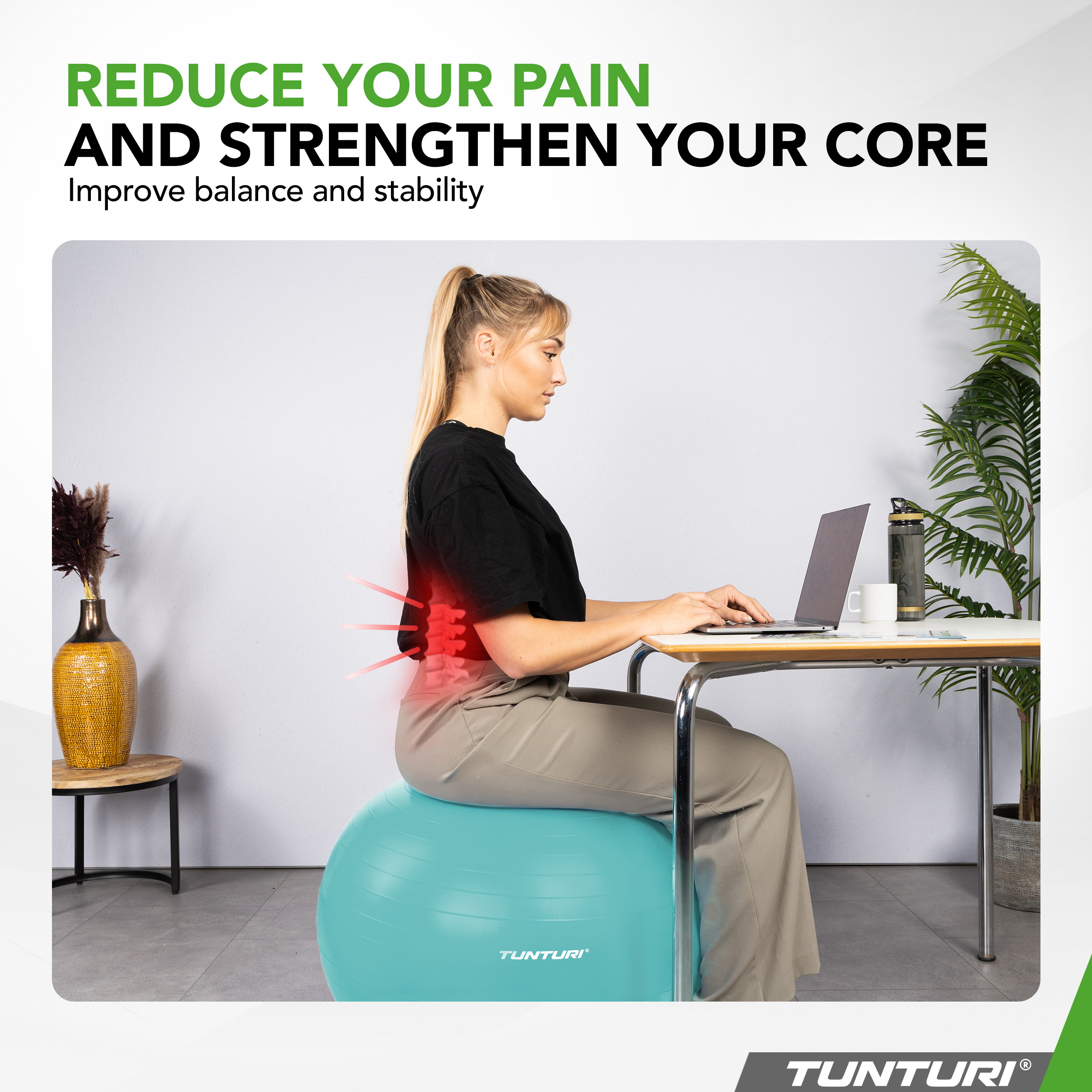 Tunturi gym ball best sale