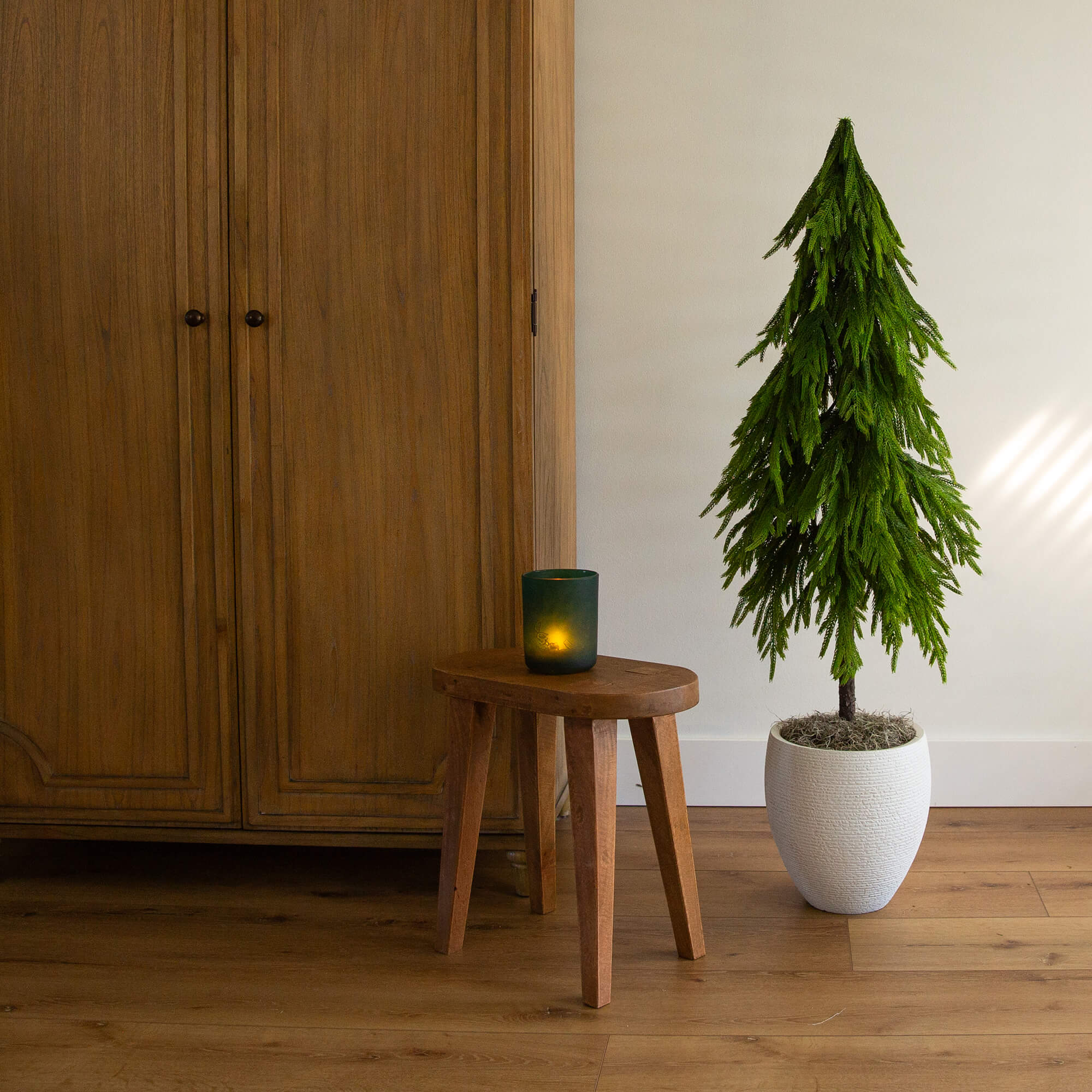 как выглядит 4-ft Artificial Real Touch Down Swept Norfolk Pine Tree with Natural Look фото