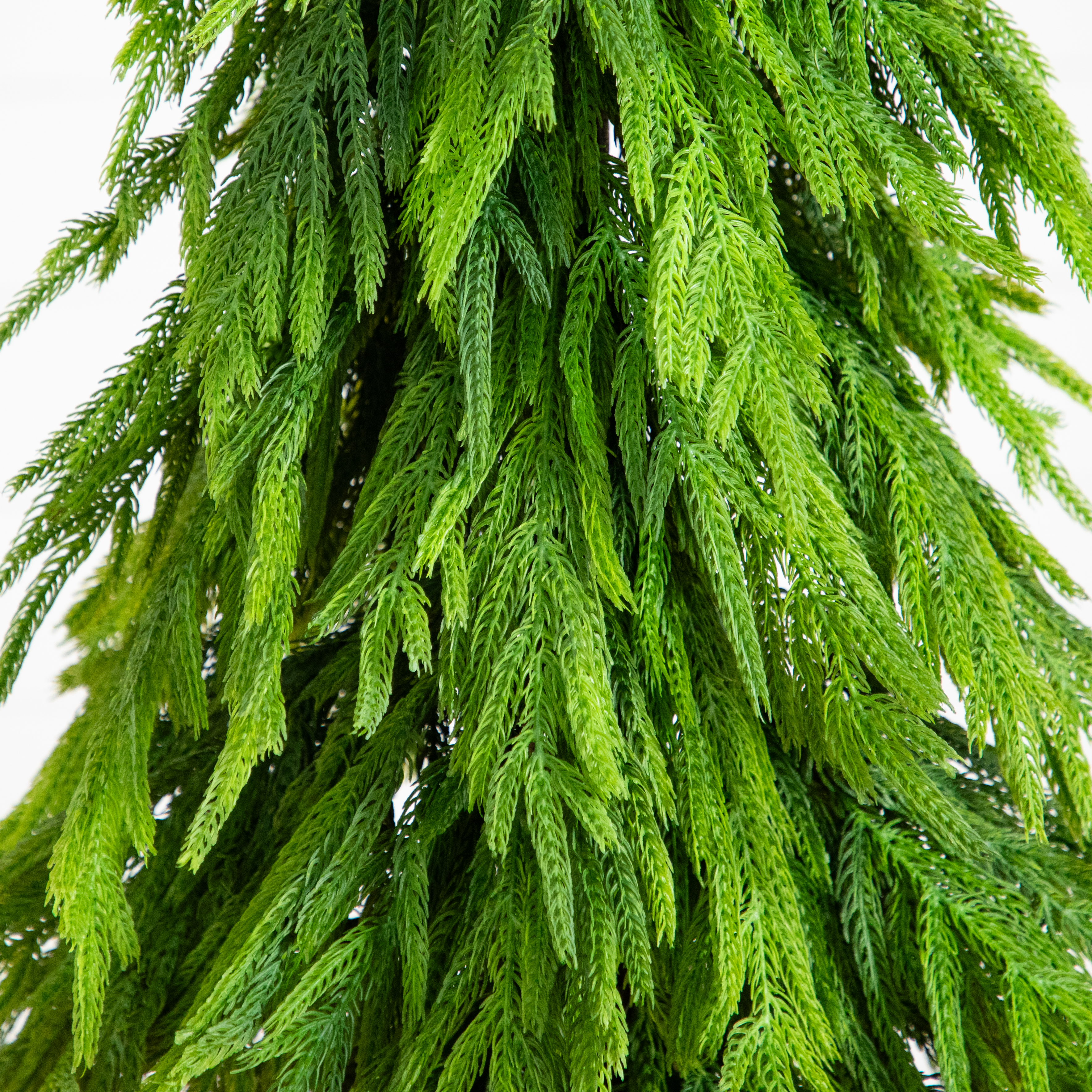 как выглядит 4-ft Artificial Real Touch Down Swept Norfolk Pine Tree with Natural Look фото