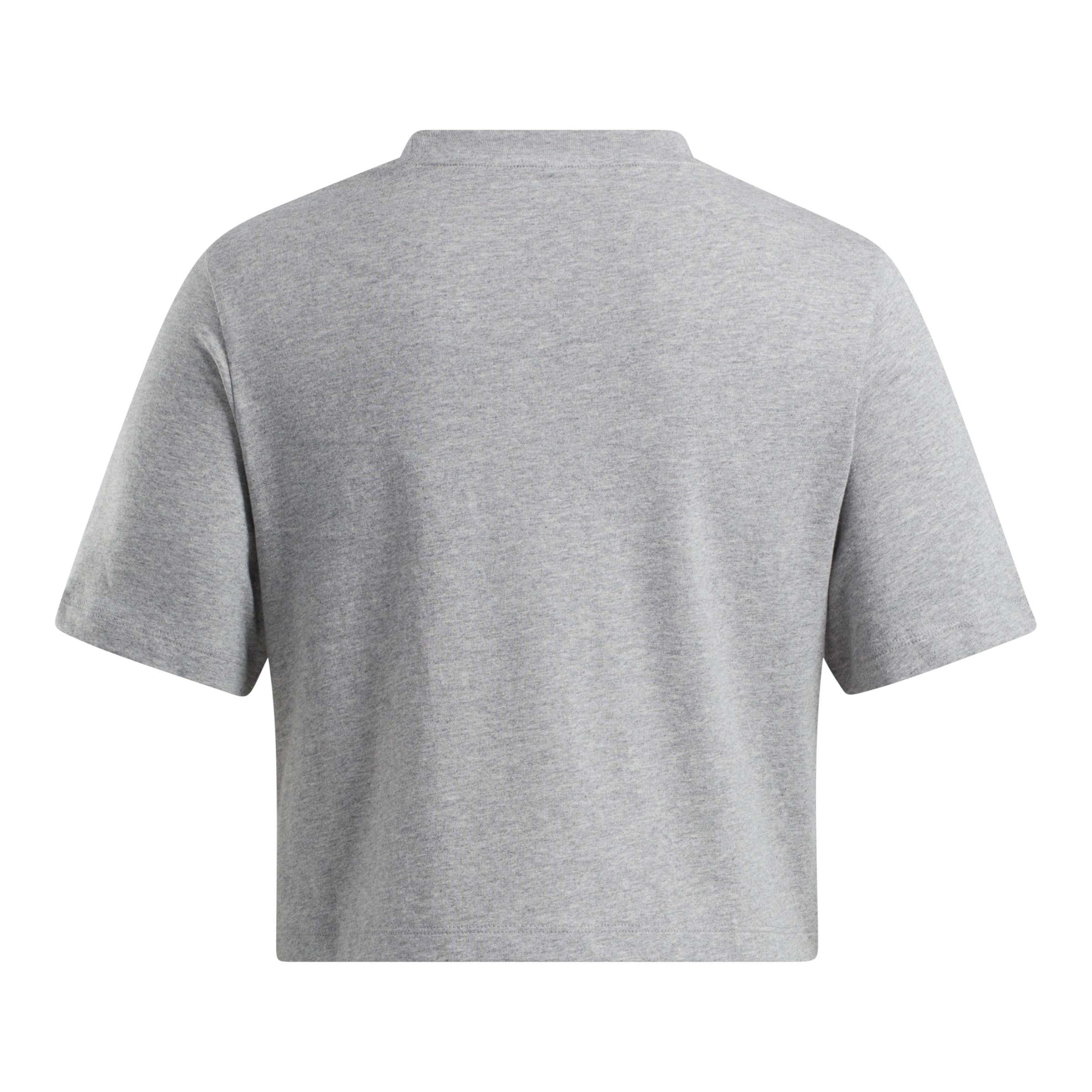 Crop Top Classics Identity