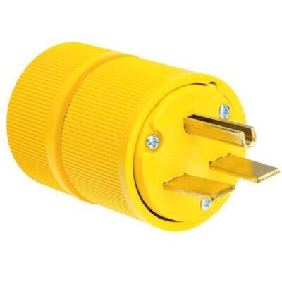 P&S D0631 2 Pole 30A 250V, NEMA 6-30P