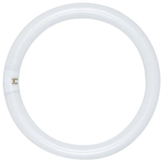 SAT S6503 FC12T9/CW CIR 4PIN FLRLMP