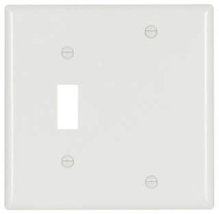 CWD 4171W-BOX 2G BLANK/DUP PL