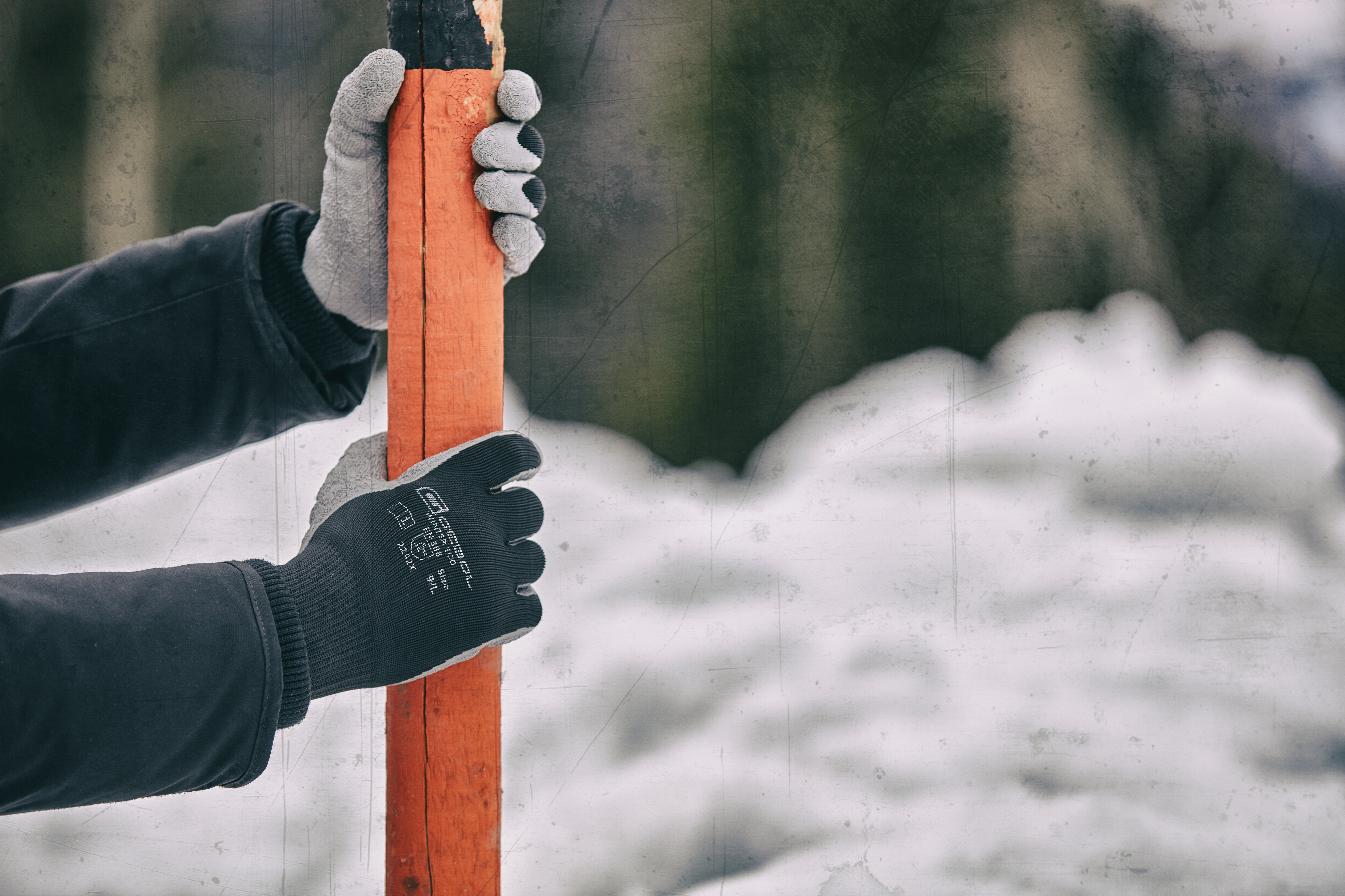 Winter Eco