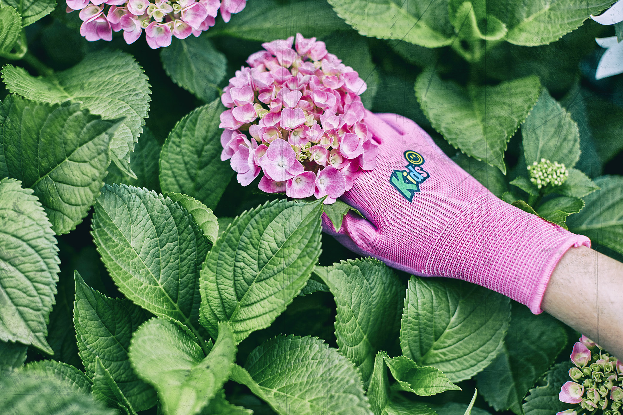 Kids pink