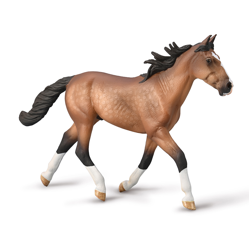 Standardbred Pacer Stallion - Bay