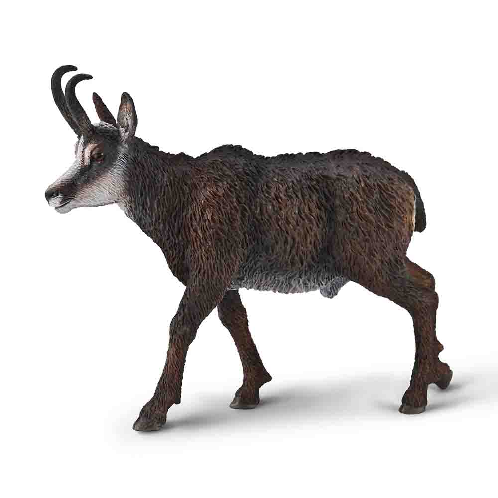 Chamois