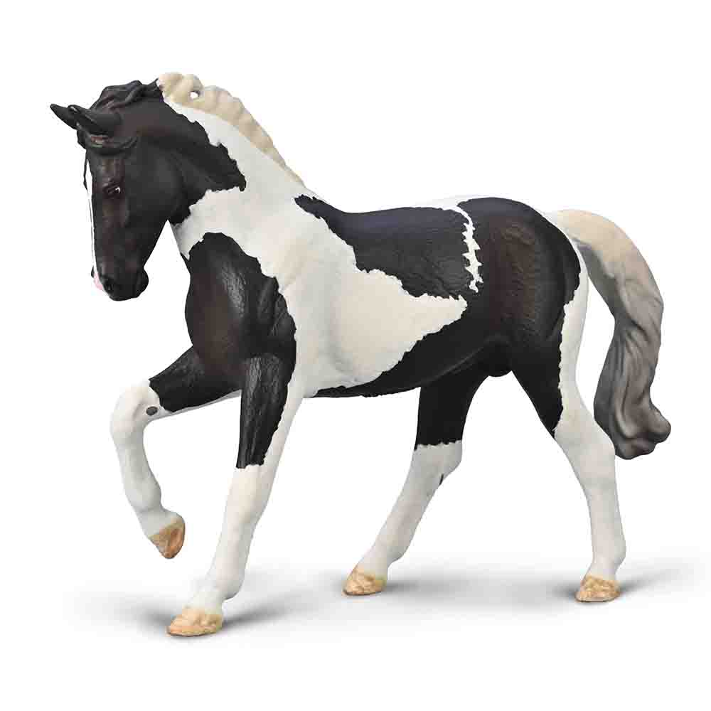 Warmblood Stallion - Black Tobiano