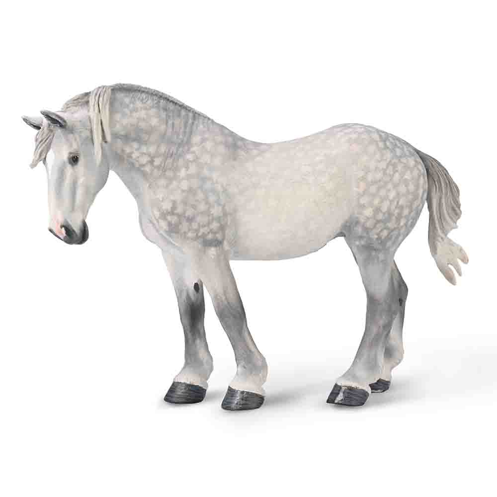 Percheron Mare â€“ Dappled Grey