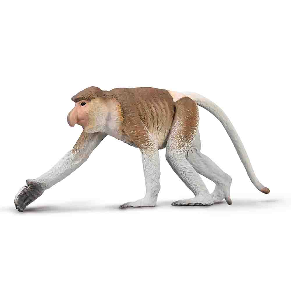 CollectA Proboscis Monkey, Hand-Finished Wild Animal Figure