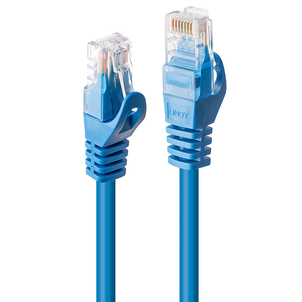 Câble réseau Bleu Cat.6 U/UTP, 0.3m RJ45, M/M, 250MHz, CCA