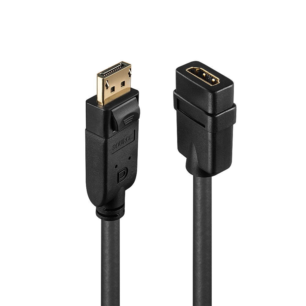 Convertisseur DisplayPort vers HDMI Connecte une source DisplayPort à un mon