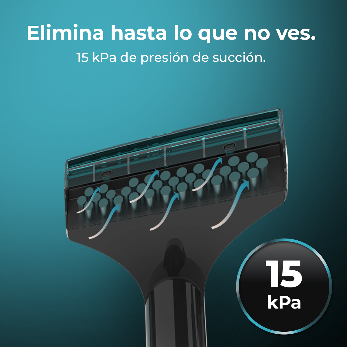 Conga 6000 Carpet&Spot Clean XXL Advance | Envío gratis y mejor precio garantizado – foto detalle 5