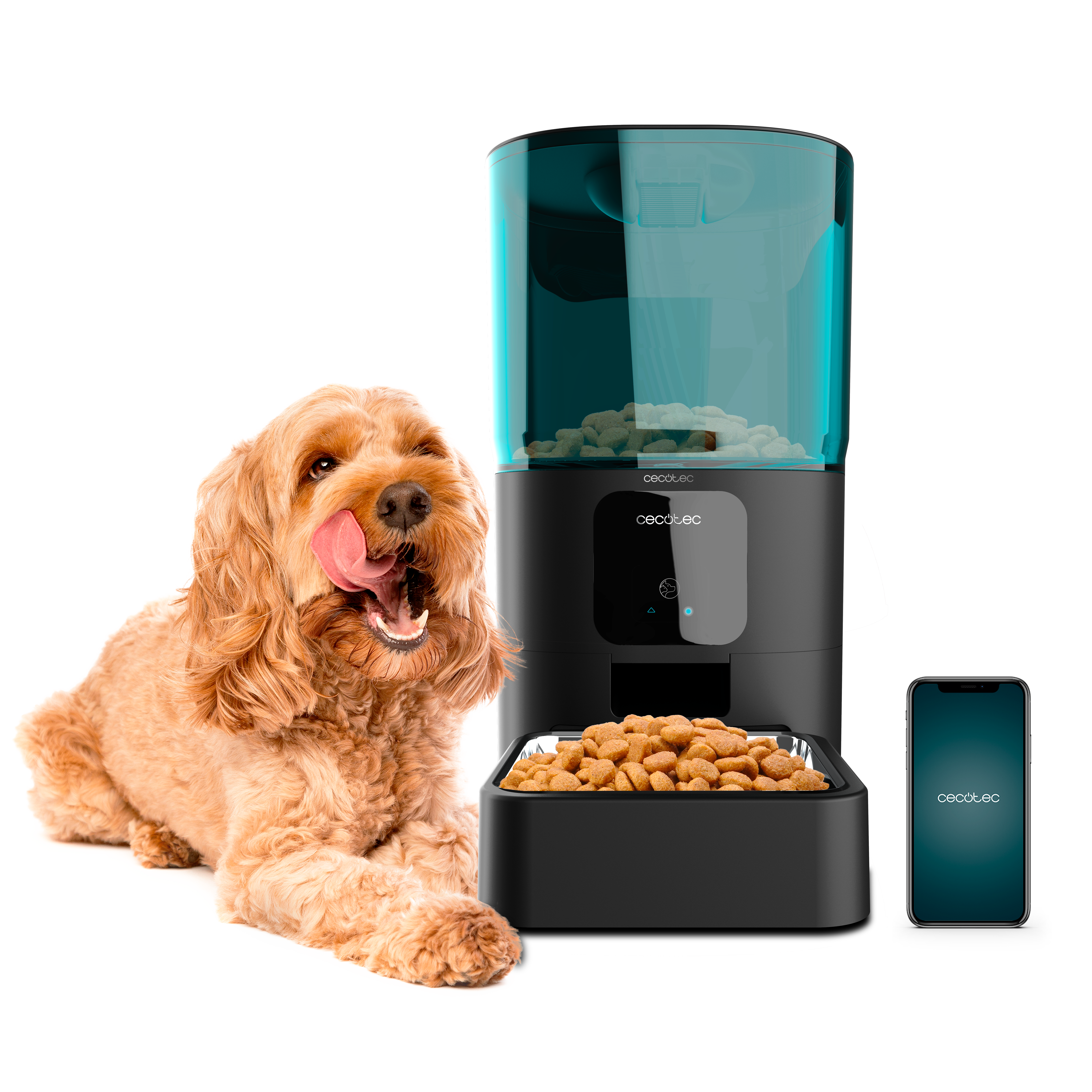 Comedero Pumba 6000 Purrfect Meal Smart