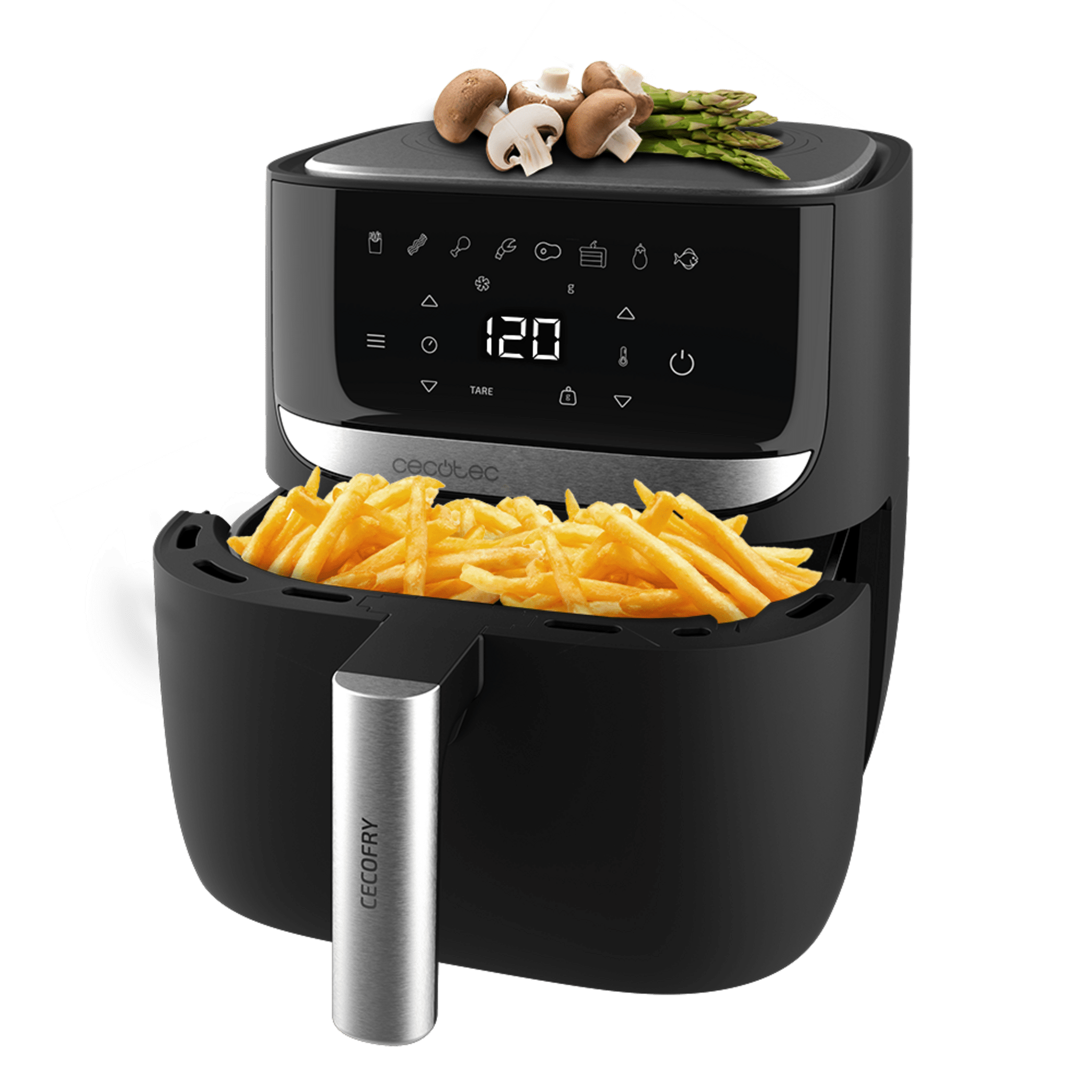 Cecofry Advance Precision